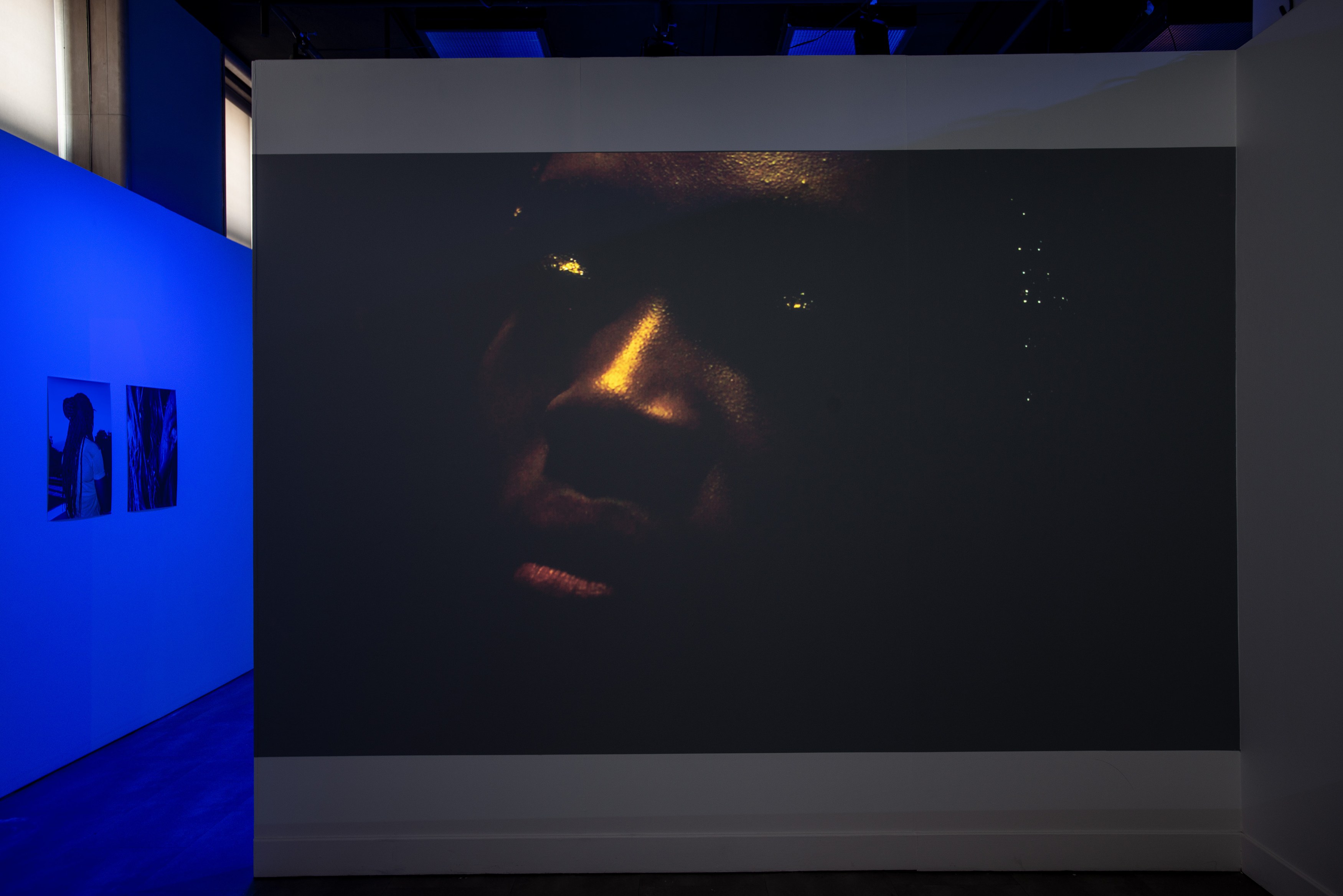 Lamin Fofana, BLUES at Mishkin Gallery, Baruch College, photo 14