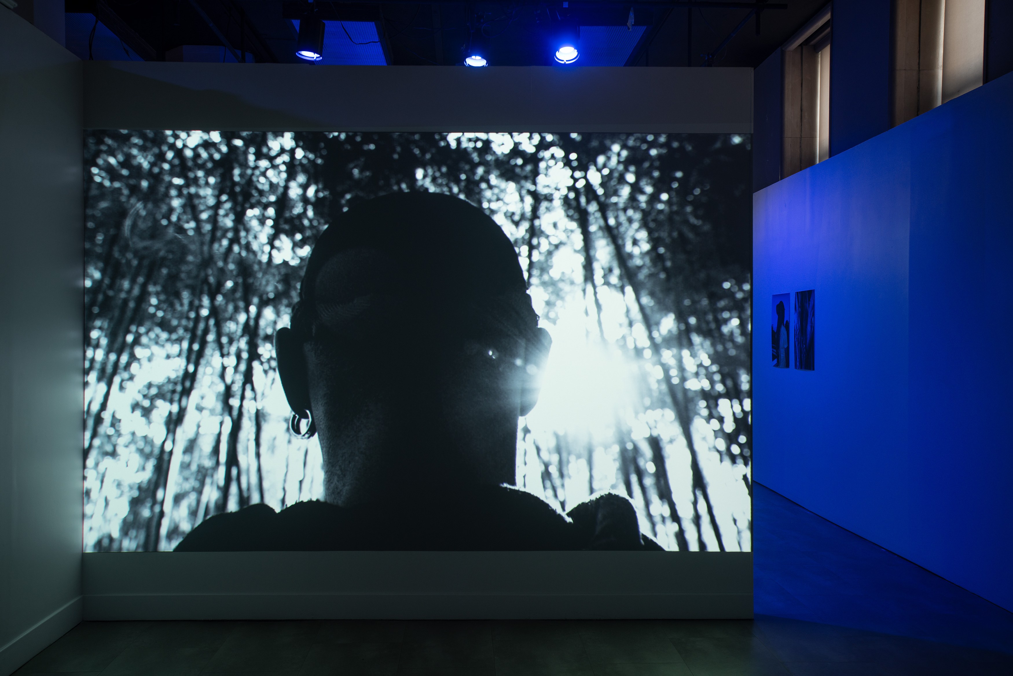 Lamin Fofana, BLUES at Mishkin Gallery, Baruch College, photo 18