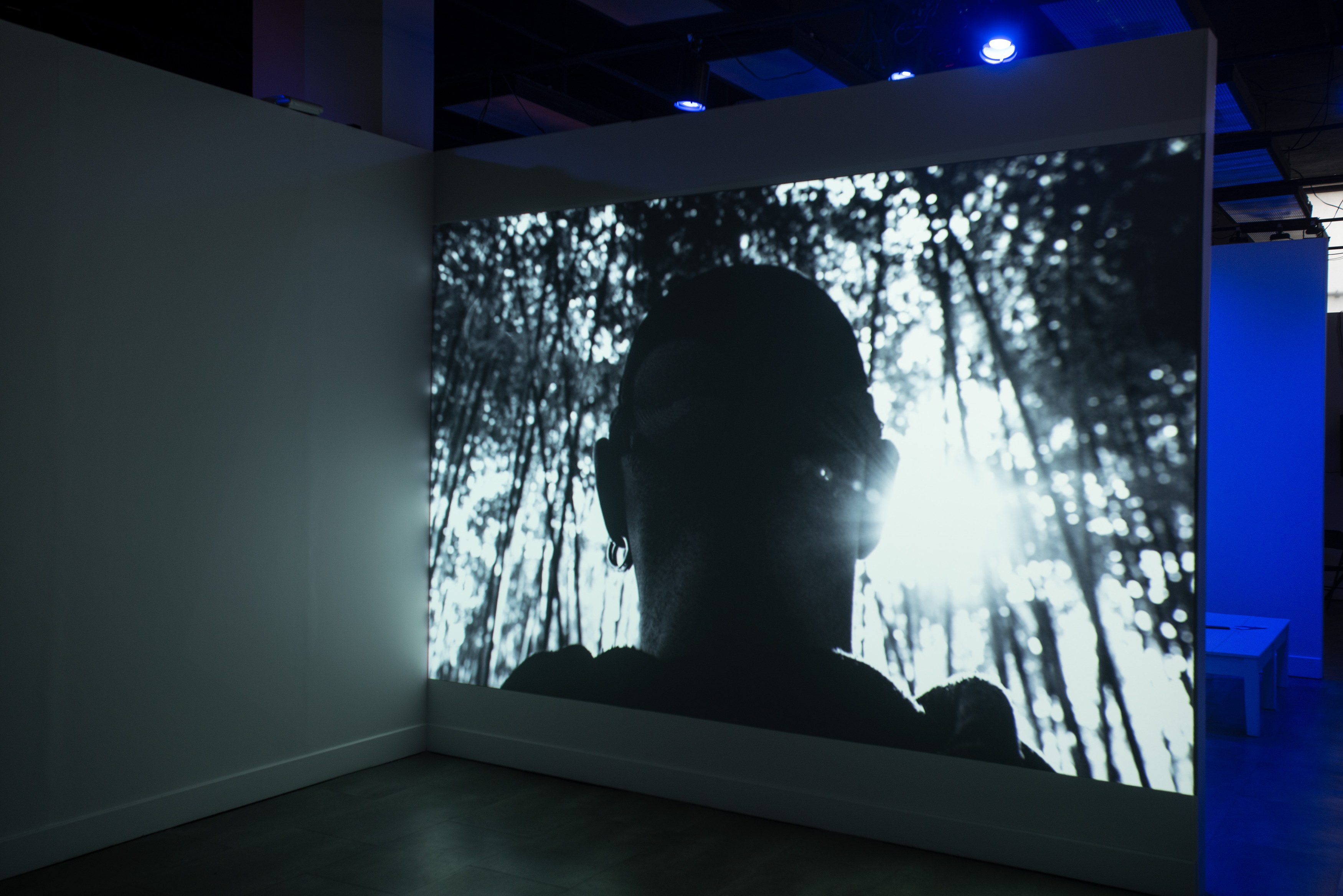 Lamin Fofana, BLUES at Mishkin Gallery, Baruch College, photo 19