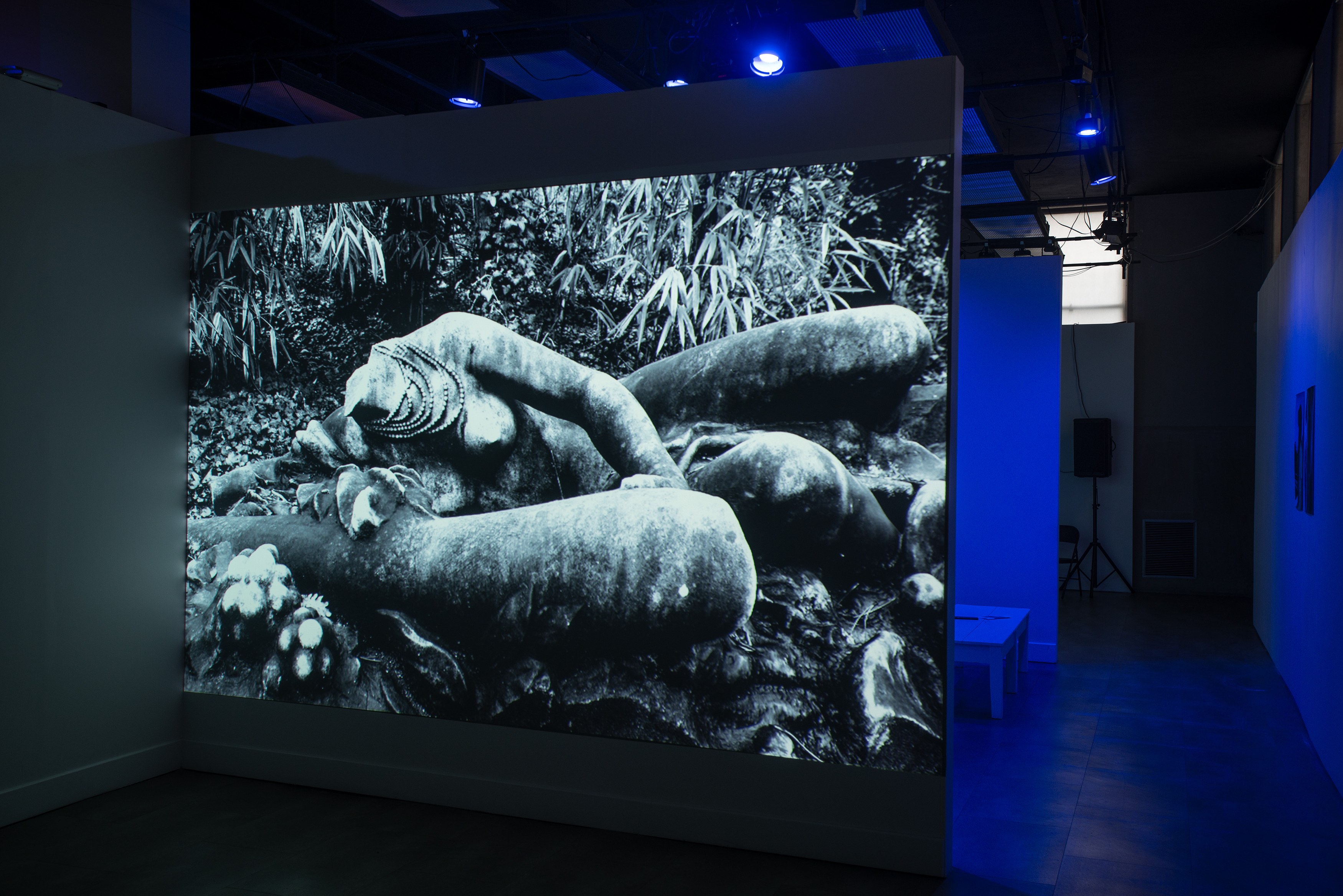 Lamin Fofana, BLUES at Mishkin Gallery, Baruch College, photo 21