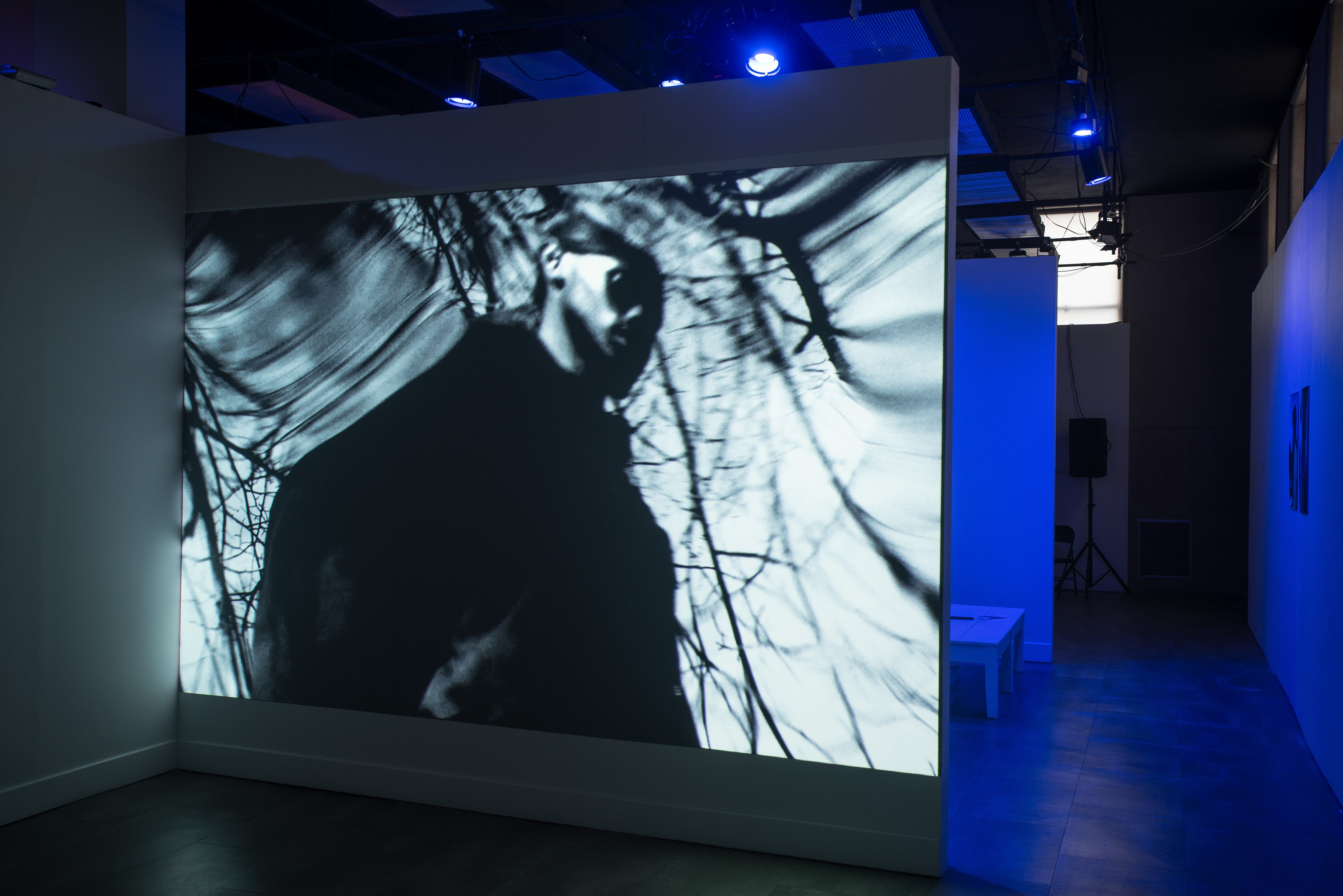 Lamin Fofana, BLUES at Mishkin Gallery, Baruch College, photo 20