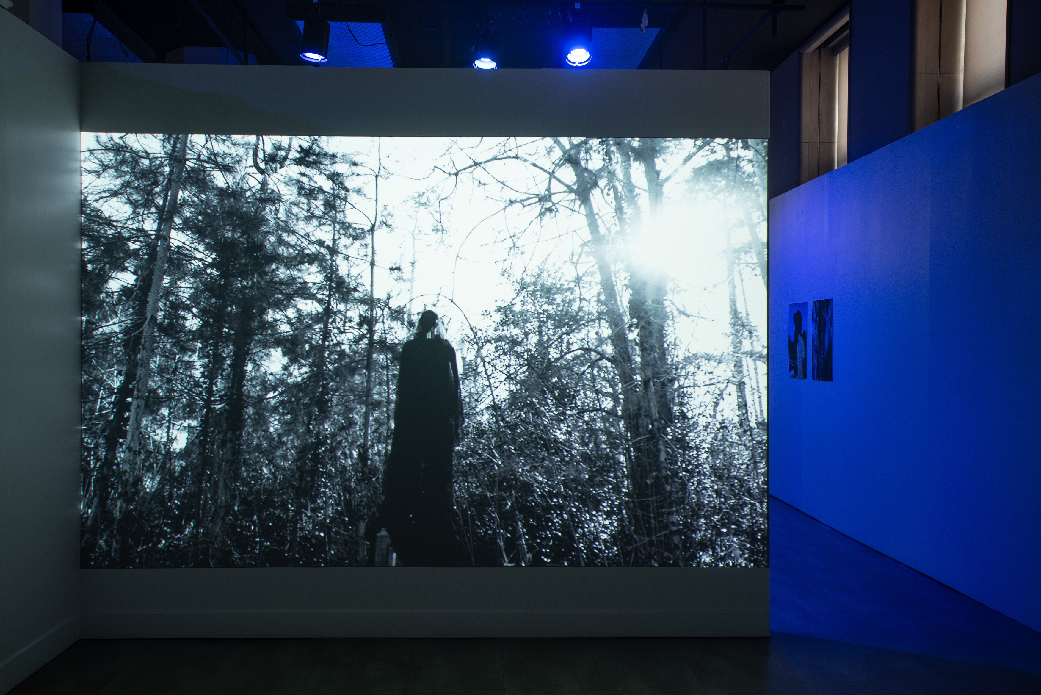 Lamin Fofana, BLUES at Mishkin Gallery, Baruch College, photo 17