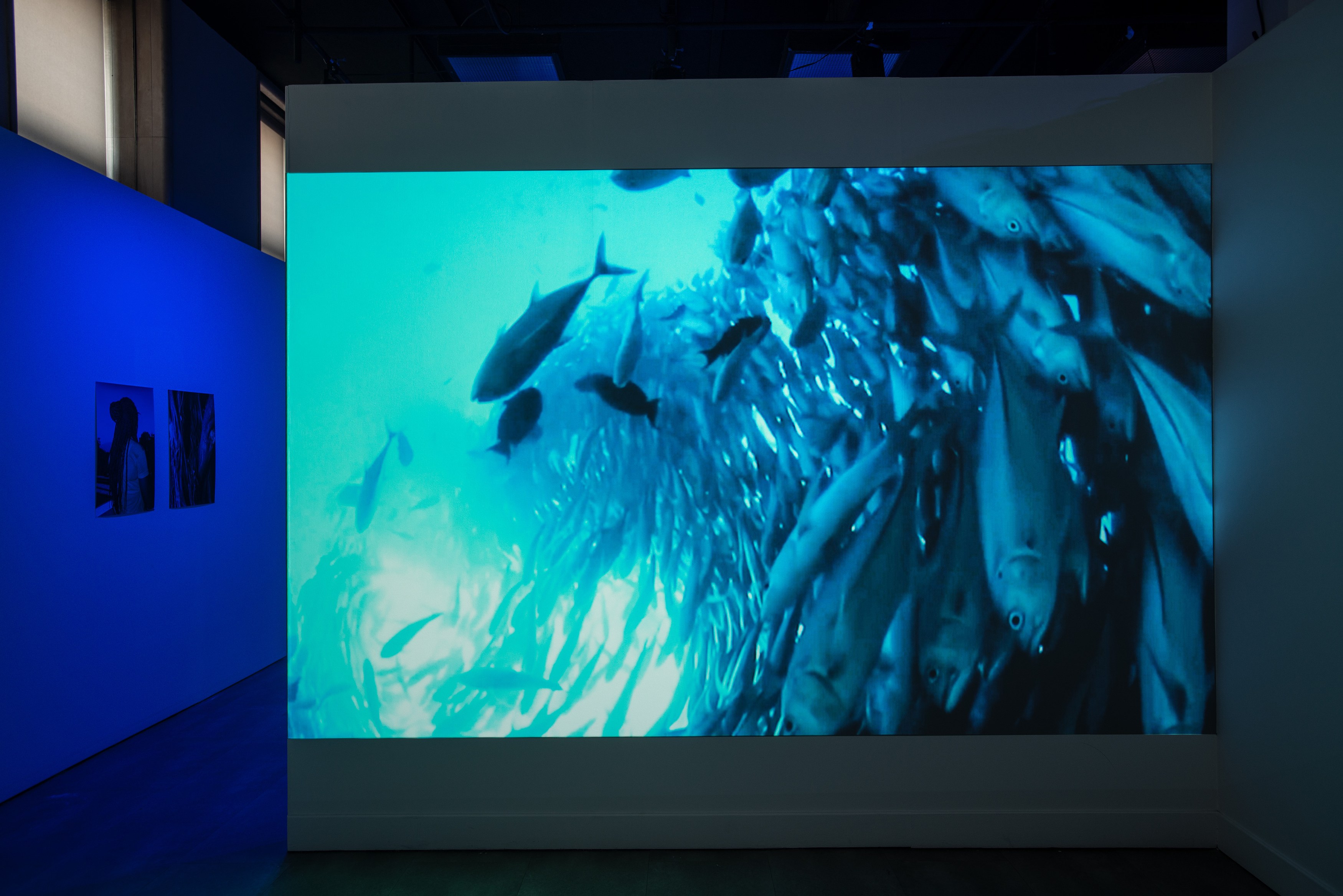 Lamin Fofana, BLUES at Mishkin Gallery, Baruch College, photo 24