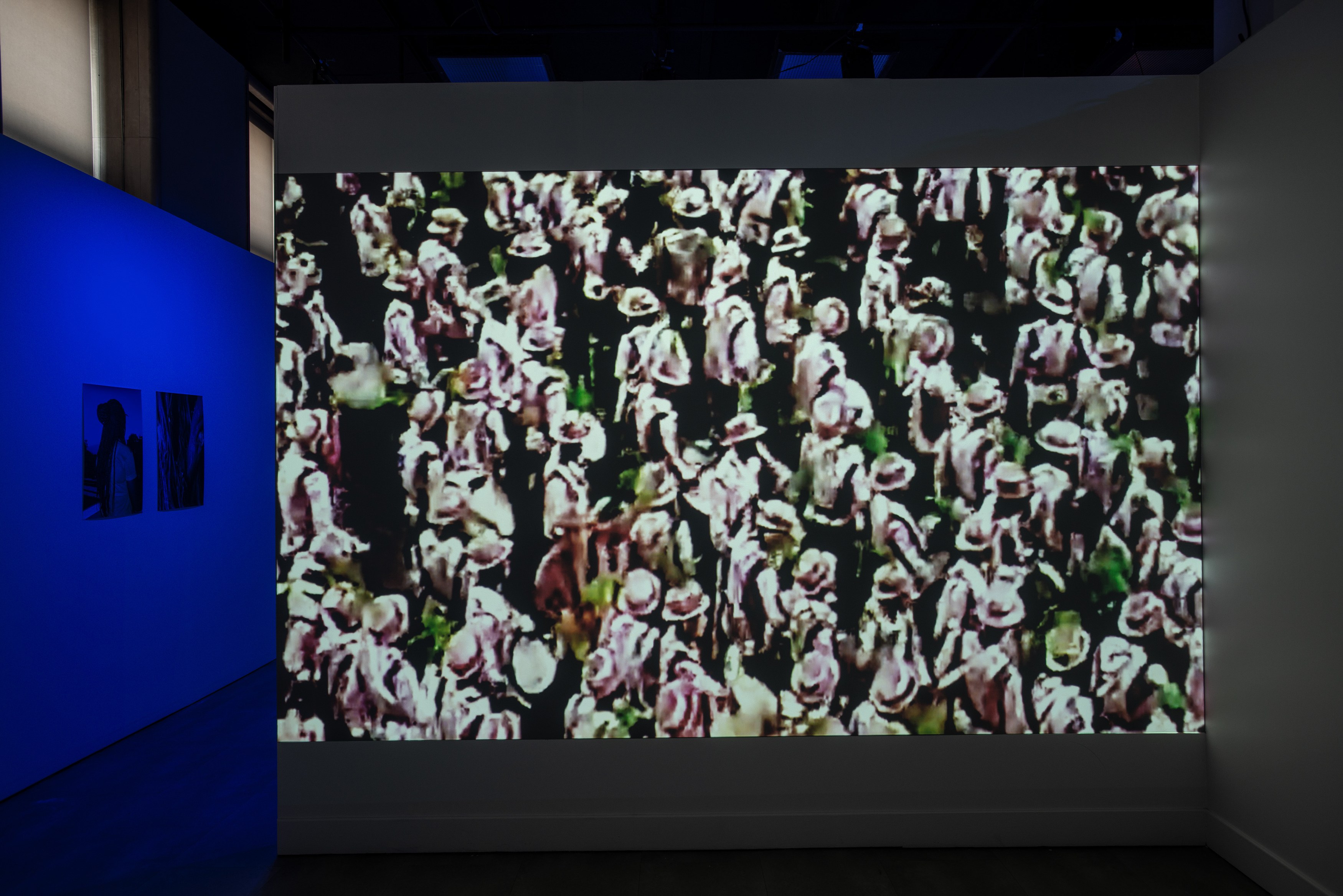 Lamin Fofana, BLUES at Mishkin Gallery, Baruch College, photo 25