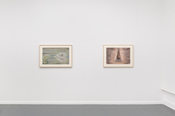 Image 4 of 18