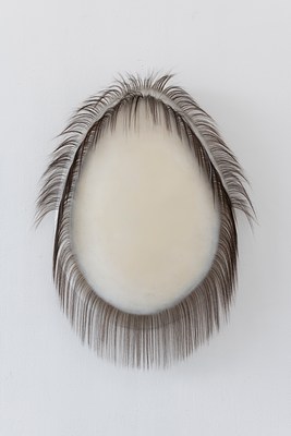 Image 11 of 17