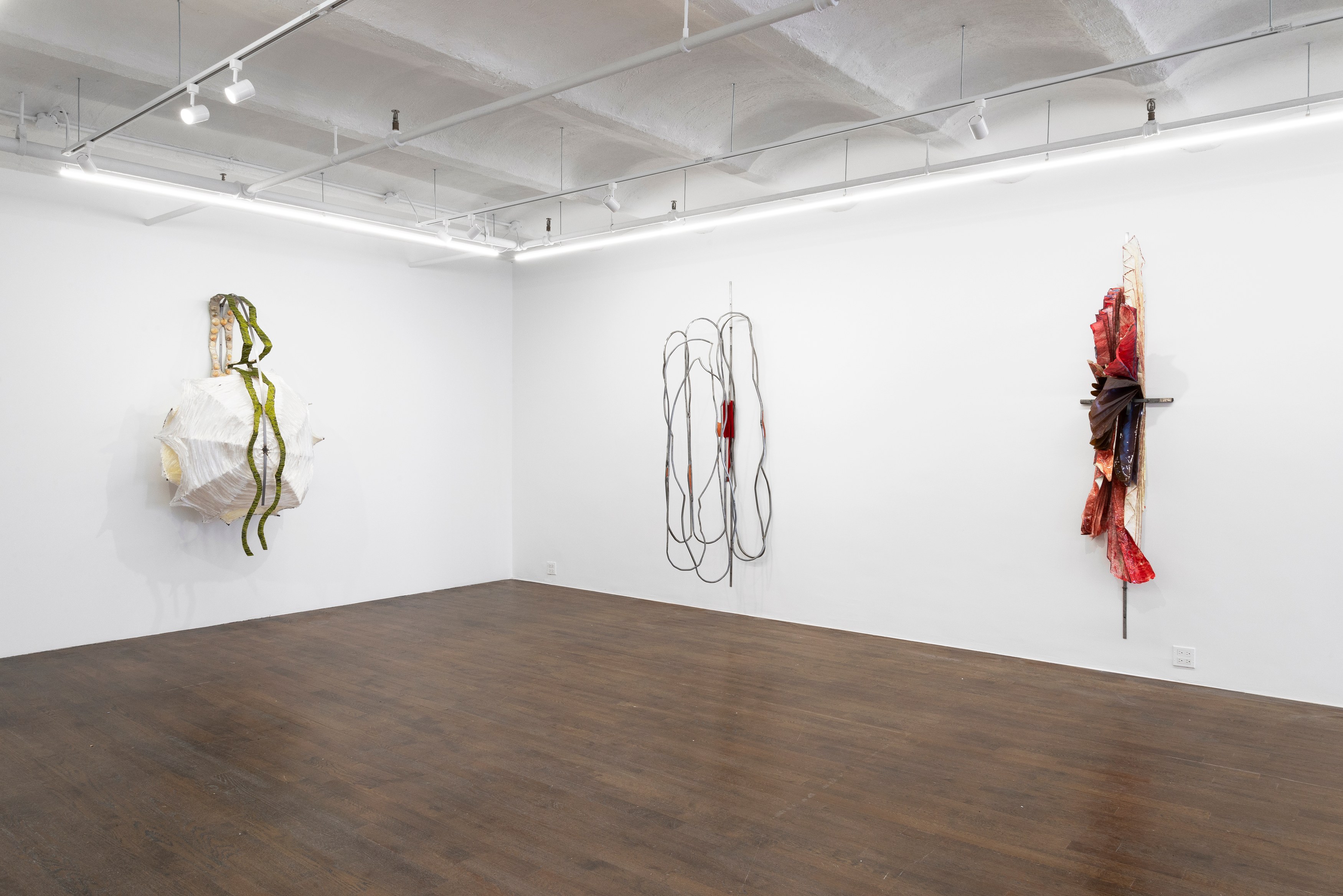 Em Rooney, Entrance of Butterfly at Derosia, photo 4