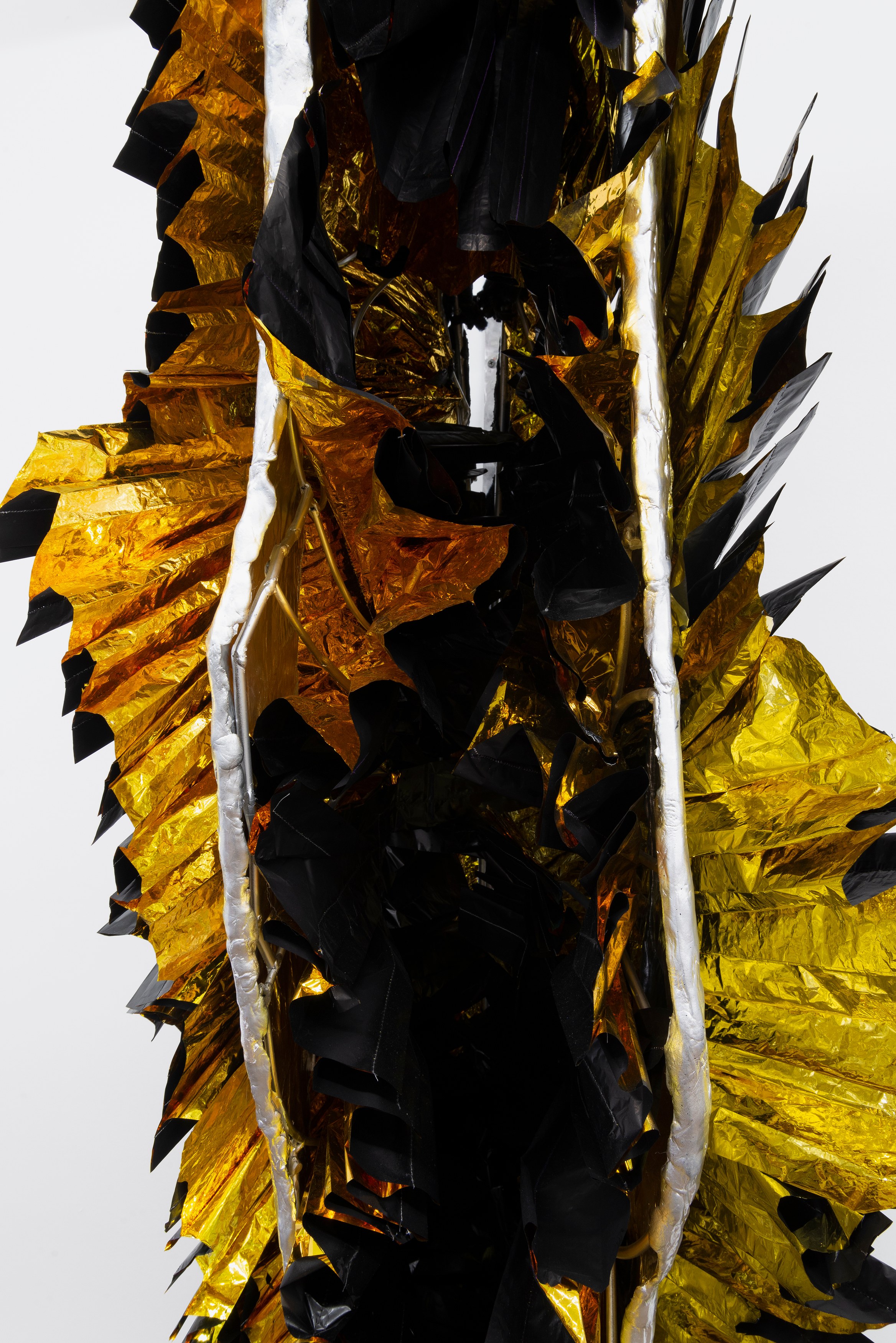 Em Rooney, Entrance of Butterfly at Derosia, photo 34