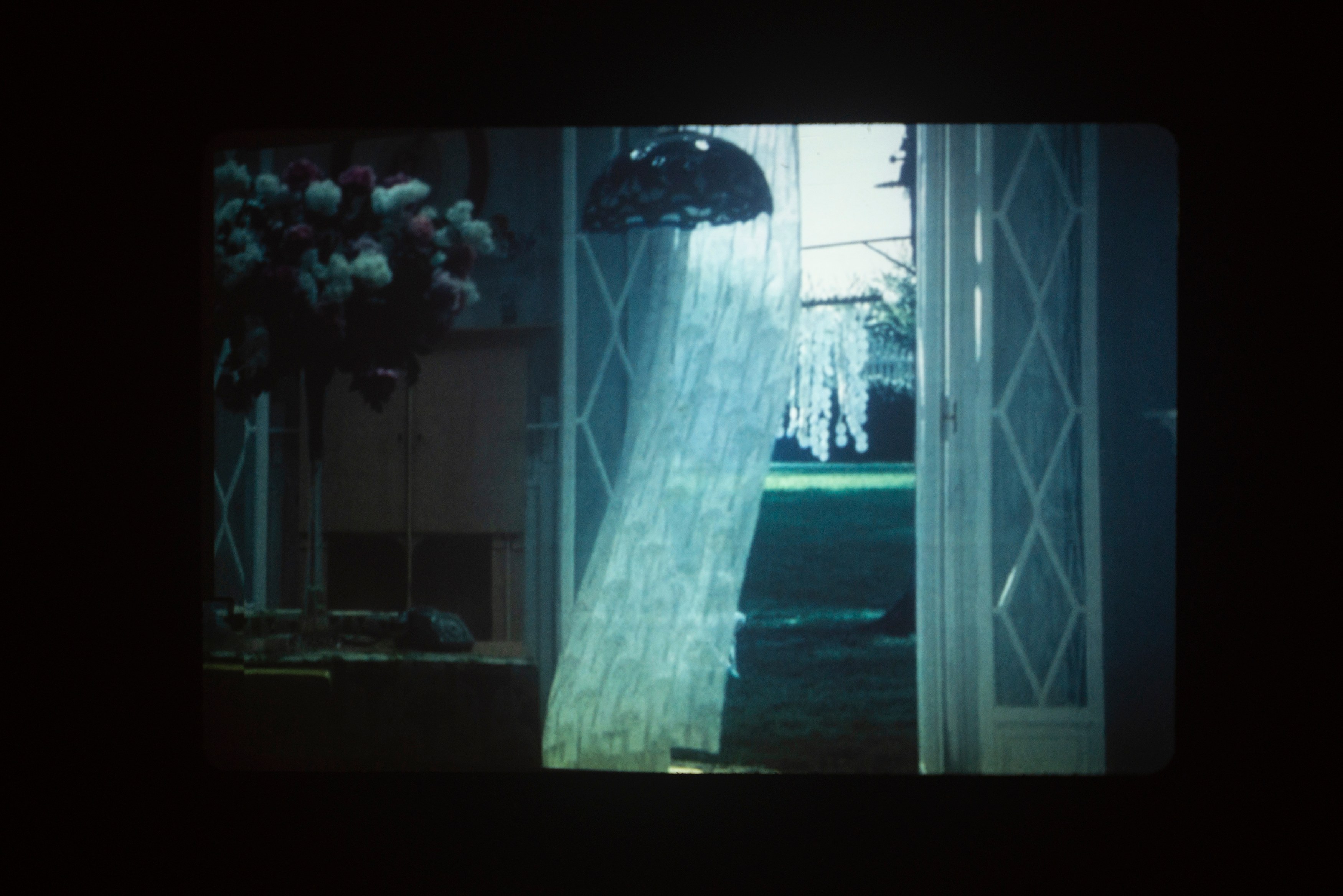 Em Rooney, Entrance of Butterfly at Derosia, photo 43