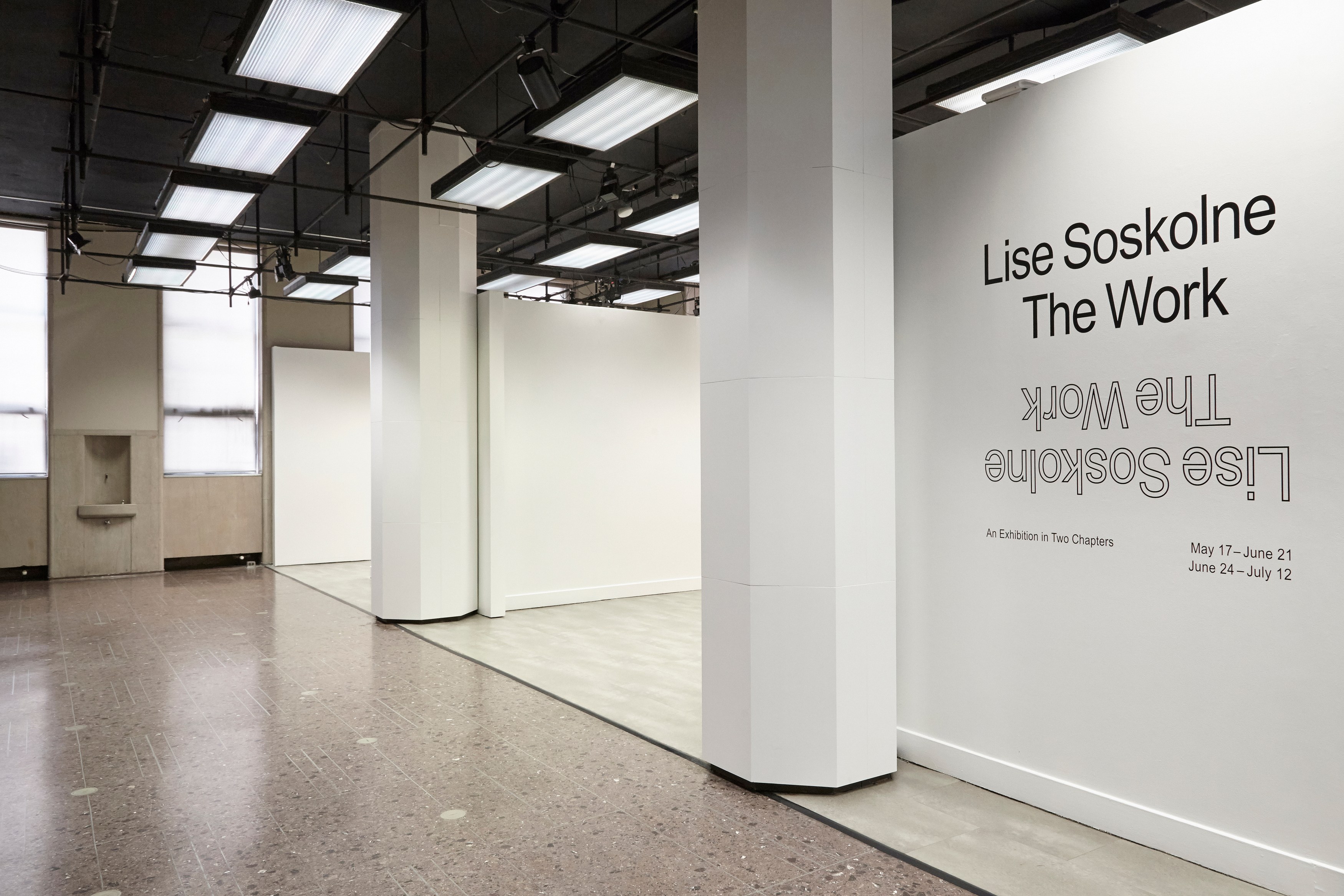 Lise Soskolne, The Work: Chapter 2 at Mishkin Gallery, Baruch College, photo 3