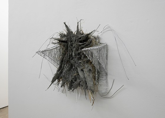 Image 9 of 28