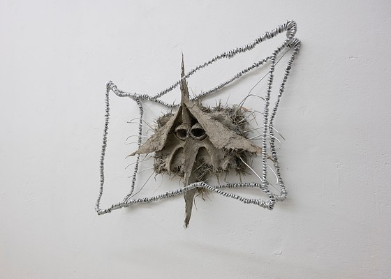 Image 19 of 28