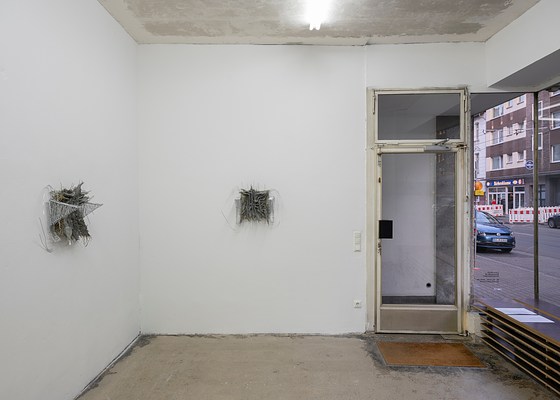 Image 24 of 28