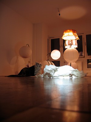 Another view of the gallery full of lamps taken from an angle close to the floor. The glow from the lamps and illuminated lamb sculpture glazes across the floor. Three floor lamps glow over the lamb and tiger sculptures, two with traditional lamp shades and one a spherical paper lantern. Four other spherical paper lanterns are unlit.