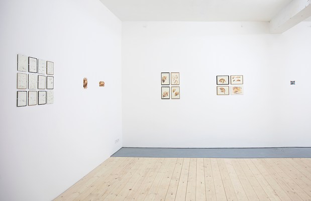 Image 4 of 27