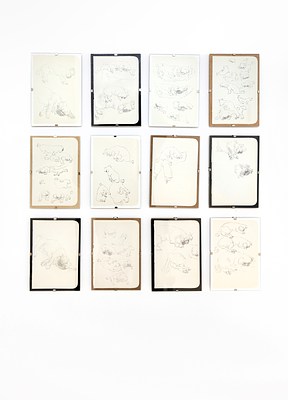 Image 8 of 27