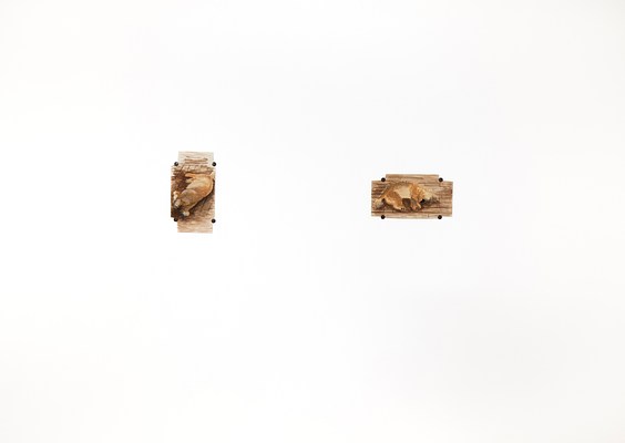 Image 9 of 27
