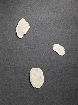Image 5 of 9