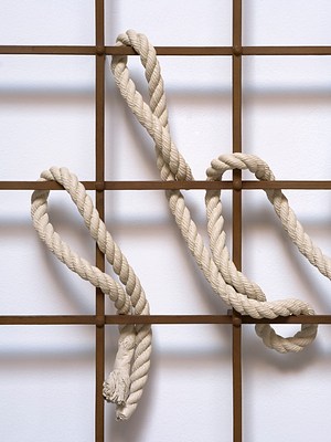 Image 14 of 18