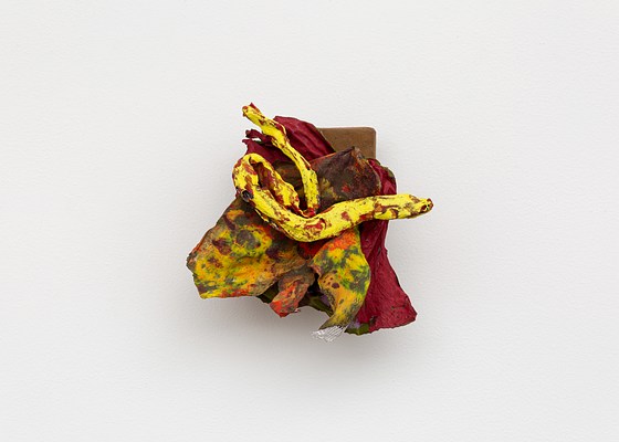 Image 15 of 20