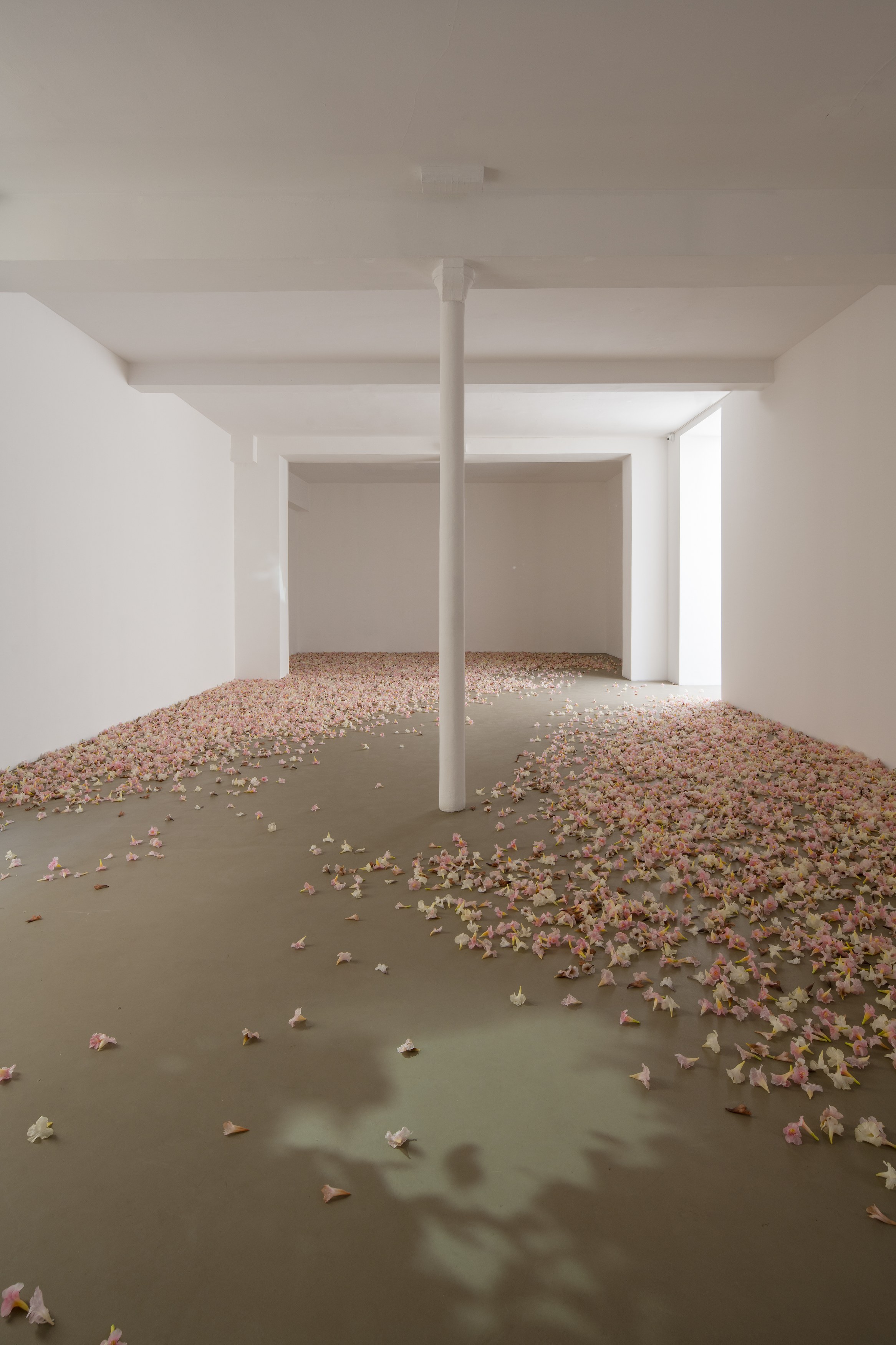 Allora and Calzadilla, Antille at Galerie Chantal Crousel, photo 3