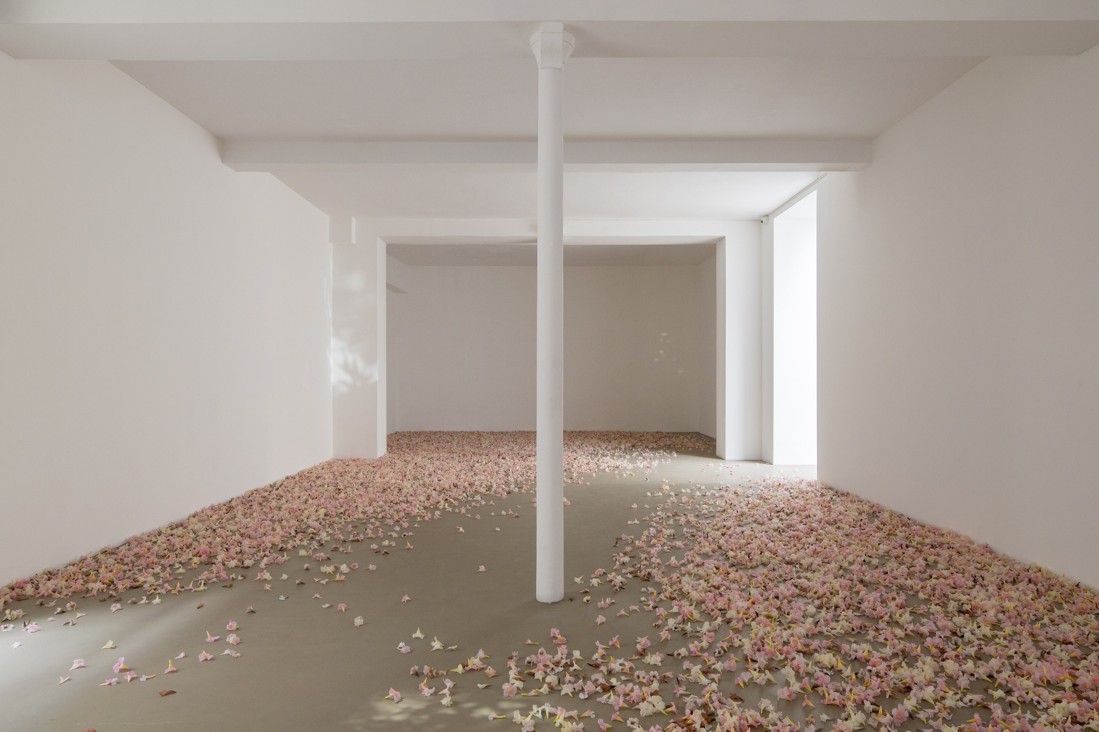 Allora and Calzadilla, Antille at Galerie Chantal Crousel, photo 2