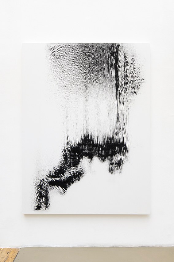 Allora and Calzadilla, Antille at Galerie Chantal Crousel, photo 5