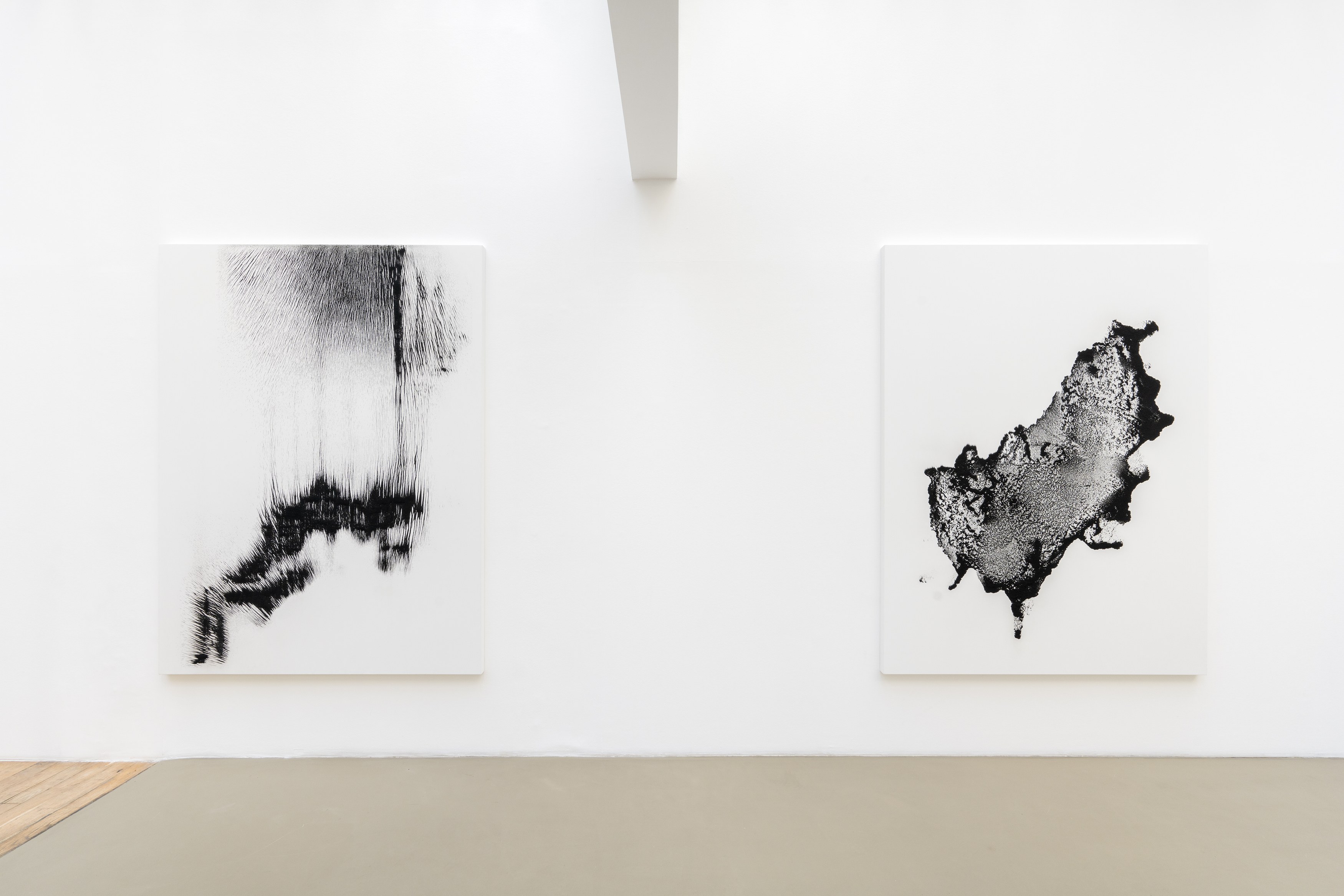 Allora and Calzadilla, Antille at Galerie Chantal Crousel, photo 4