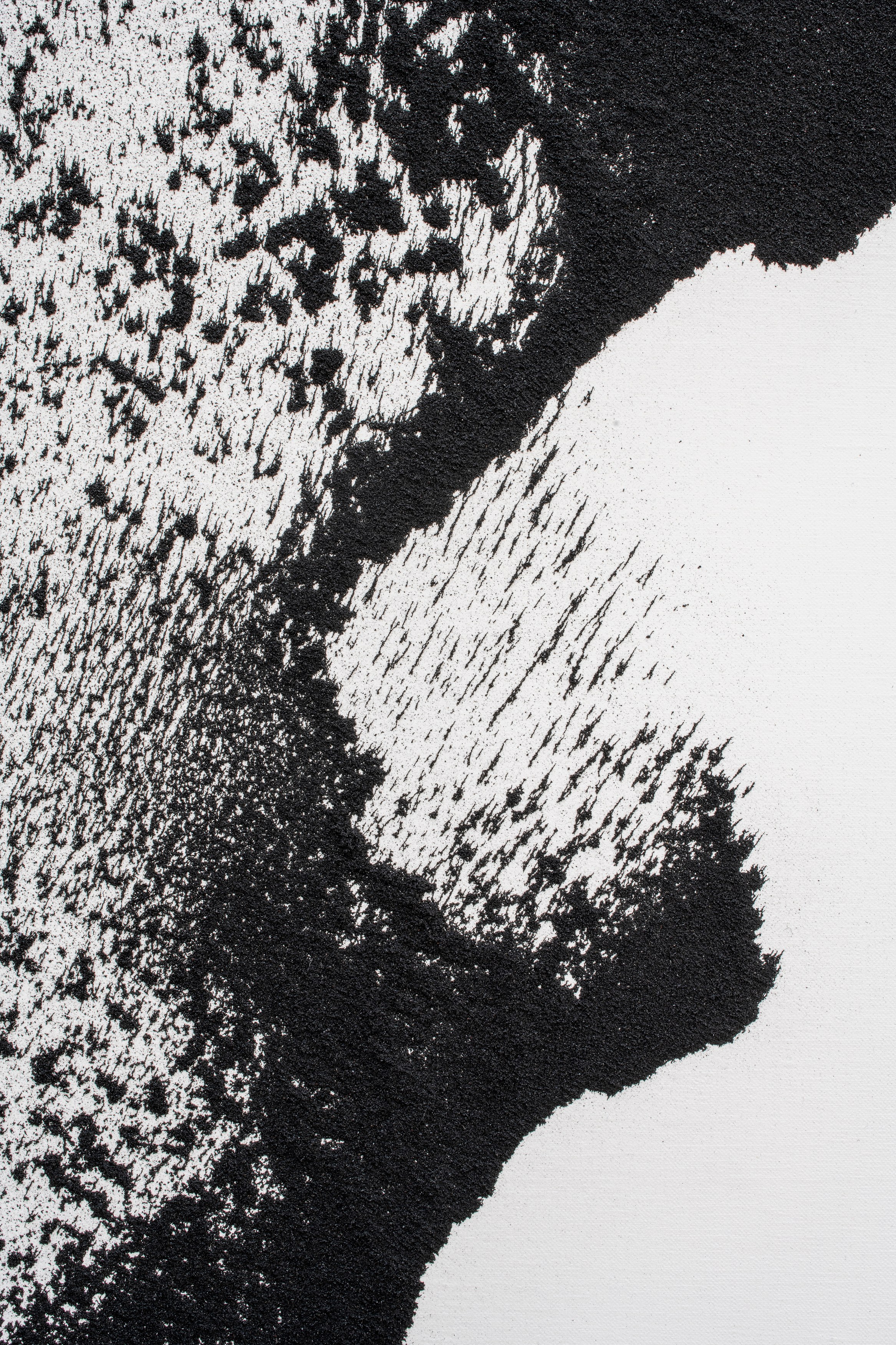 Allora and Calzadilla, Antille at Galerie Chantal Crousel, photo 7