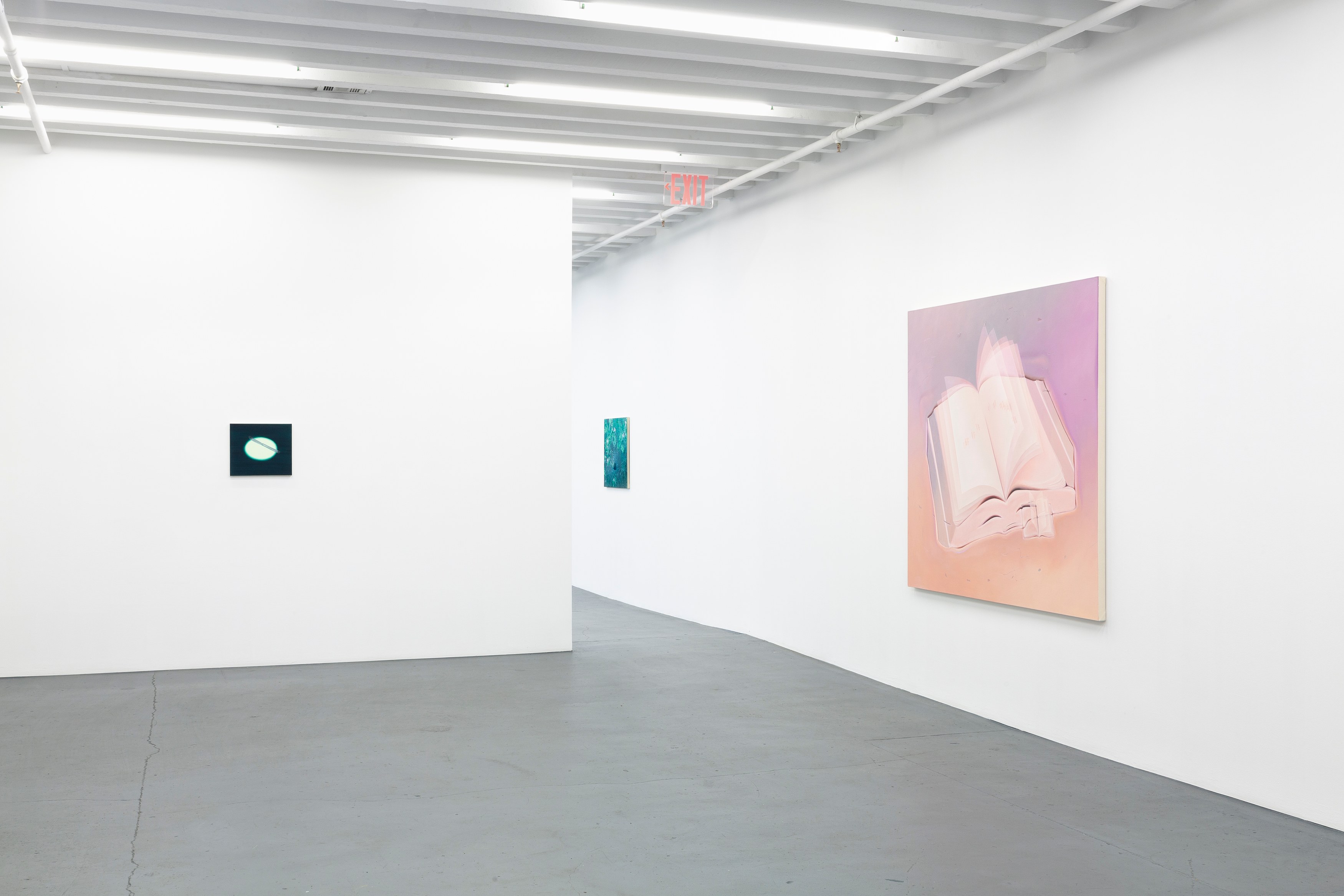 Dana Lok, Part and Parse at Miguel Abreu, New York (88 Eldridge Street, 36 Orchard Street), photo 5