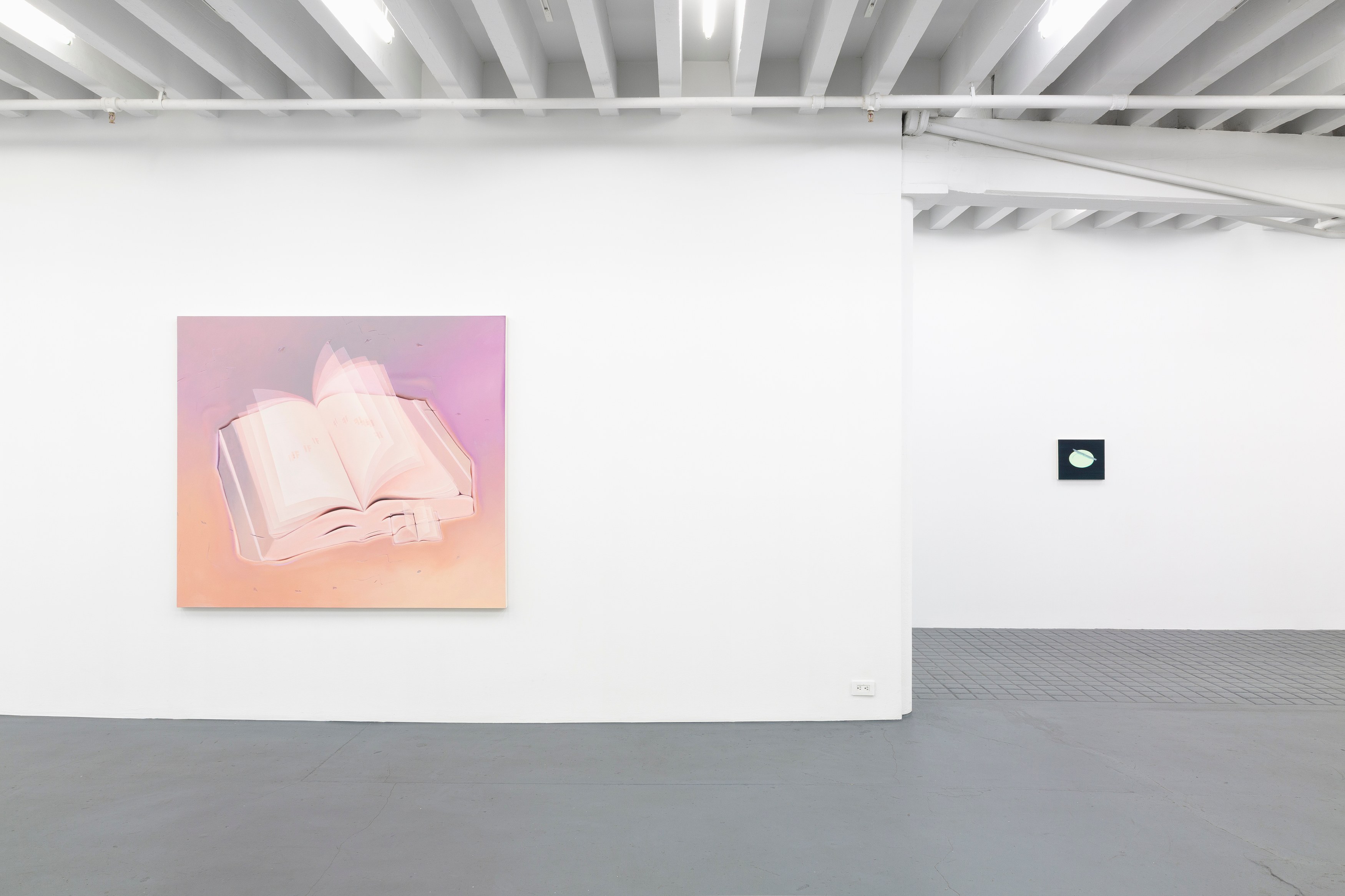 Dana Lok, Part and Parse at Miguel Abreu, New York (88 Eldridge Street, 36 Orchard Street), photo 6