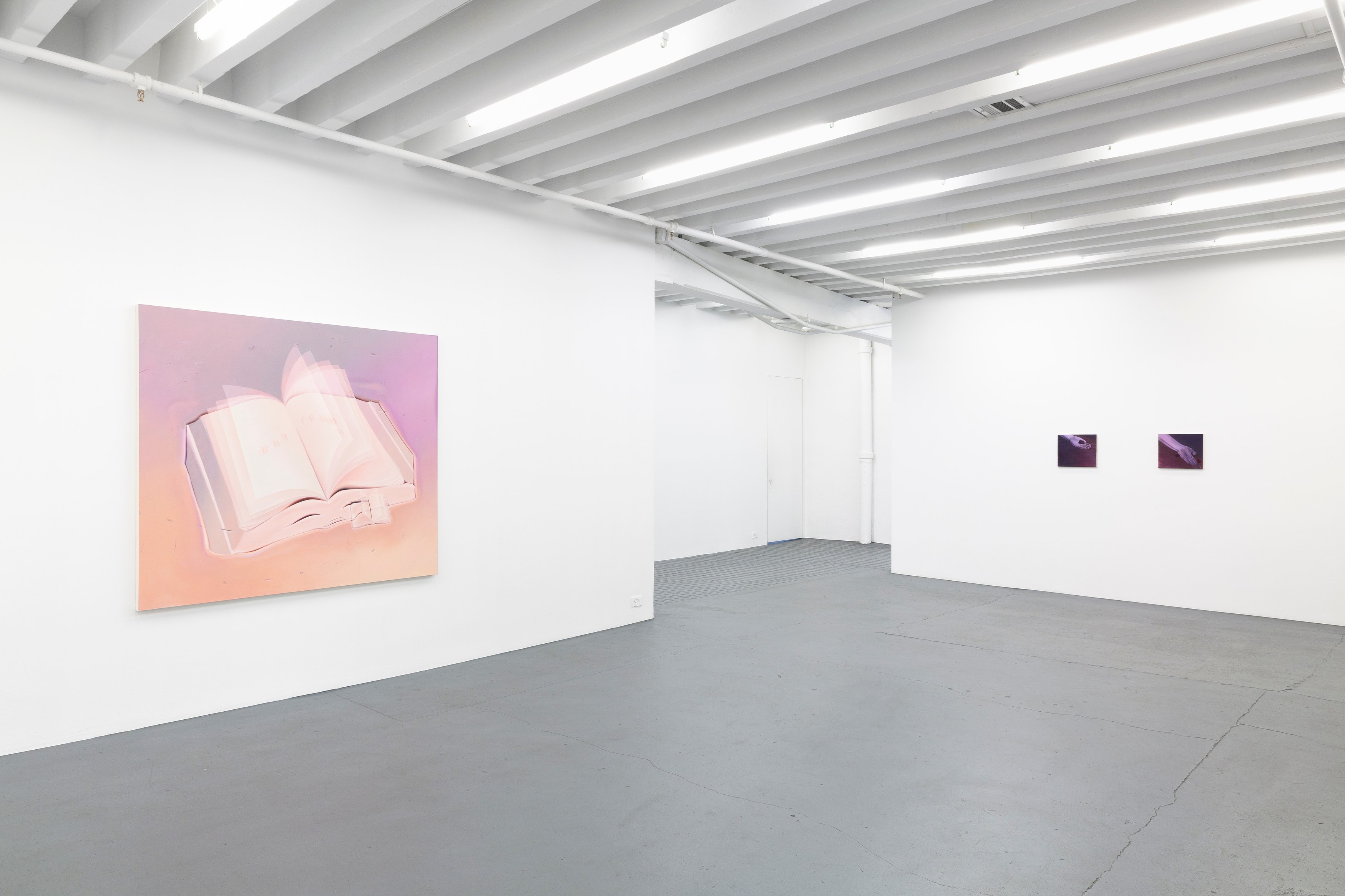 Dana Lok, Part and Parse at Miguel Abreu, New York (88 Eldridge Street, 36 Orchard Street), photo 7