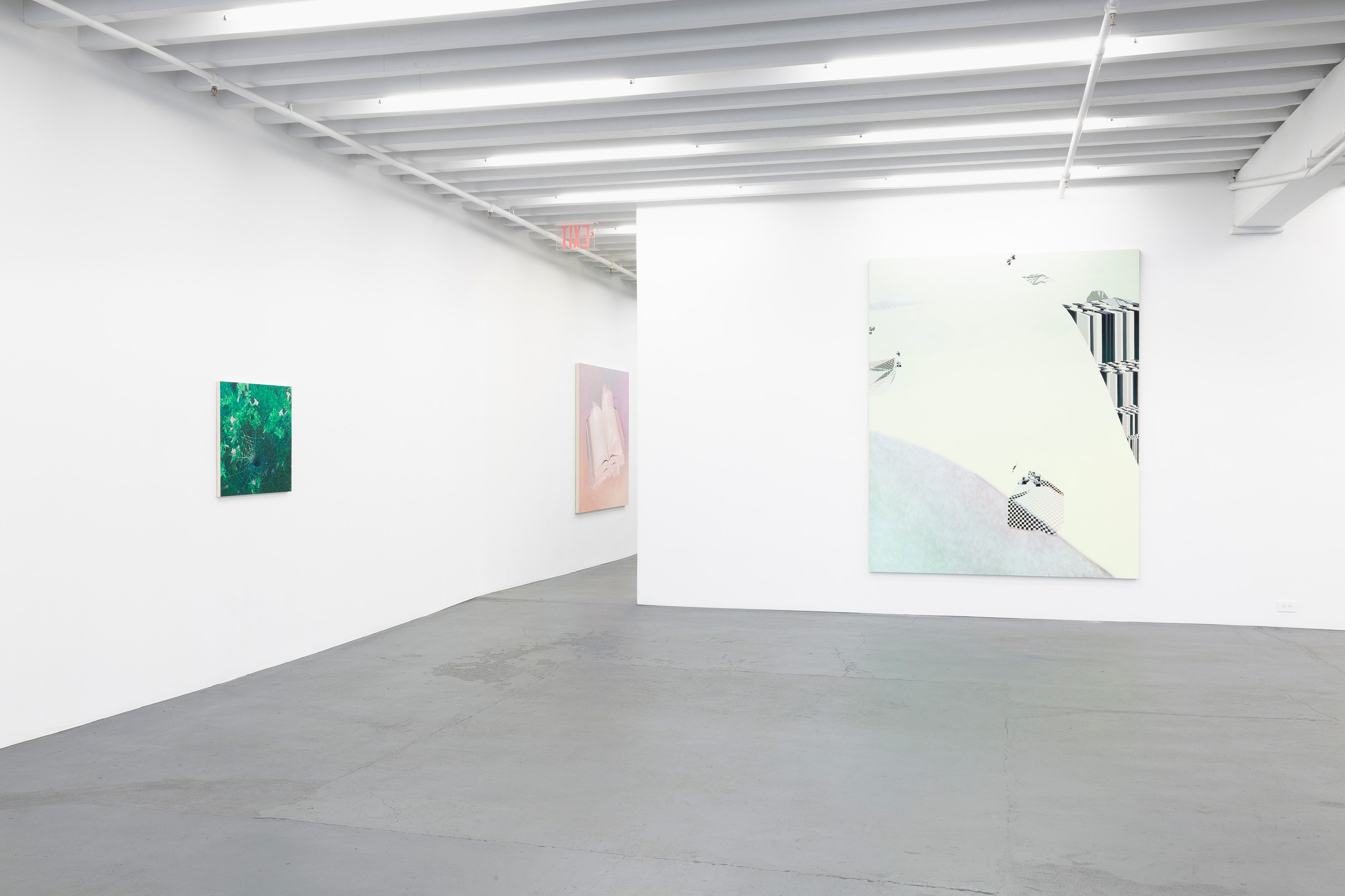 Dana Lok, Part and Parse at Miguel Abreu, New York (88 Eldridge Street, 36 Orchard Street), photo 8