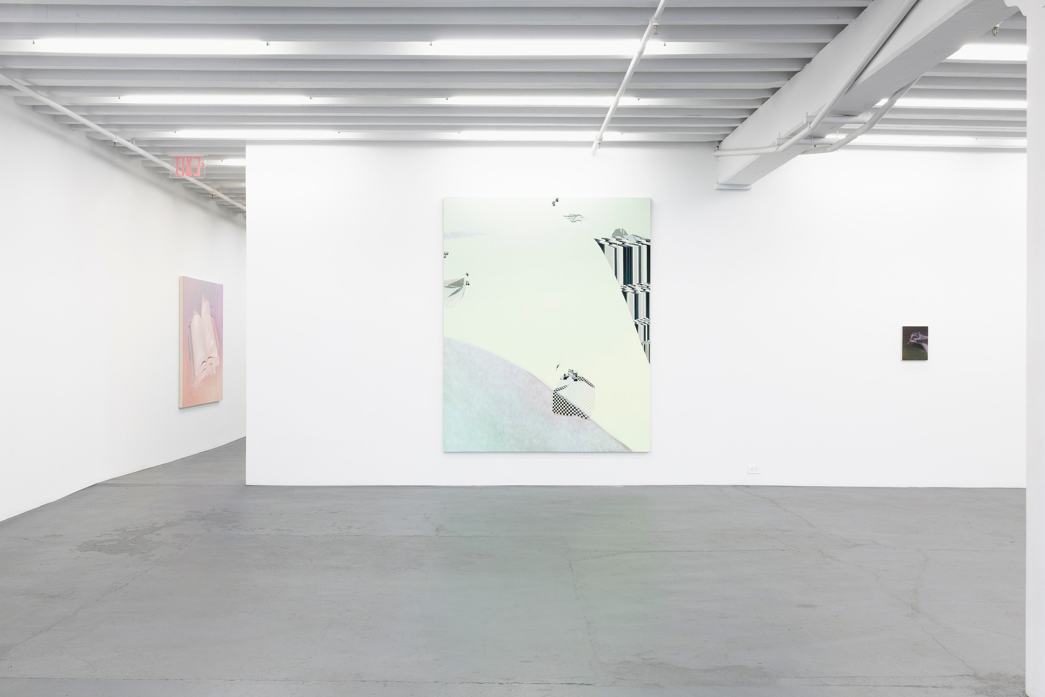Dana Lok, Part and Parse at Miguel Abreu, New York (88 Eldridge Street, 36 Orchard Street), photo 9
