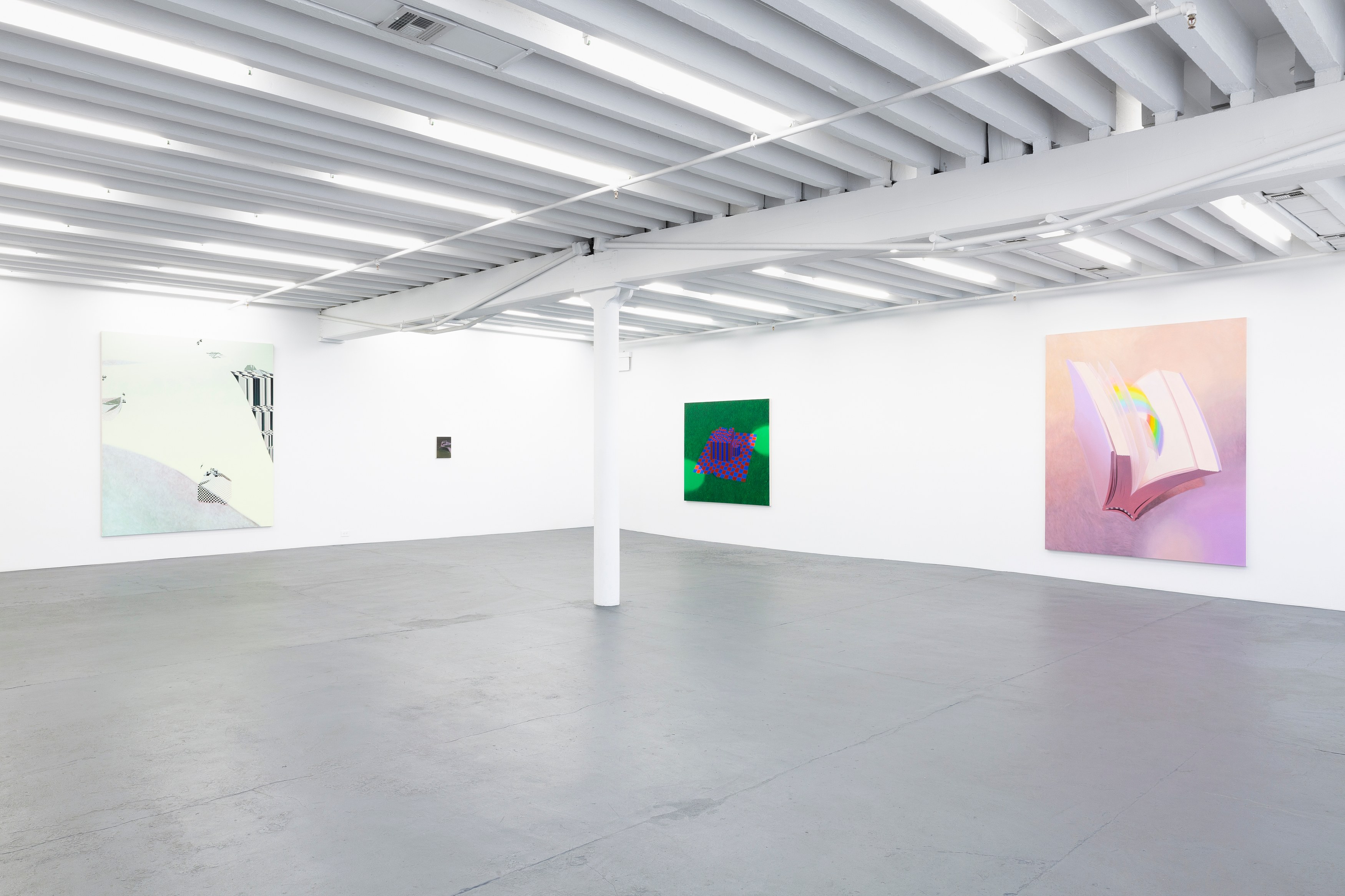 Dana Lok, Part and Parse at Miguel Abreu, New York (88 Eldridge Street, 36 Orchard Street), photo 12