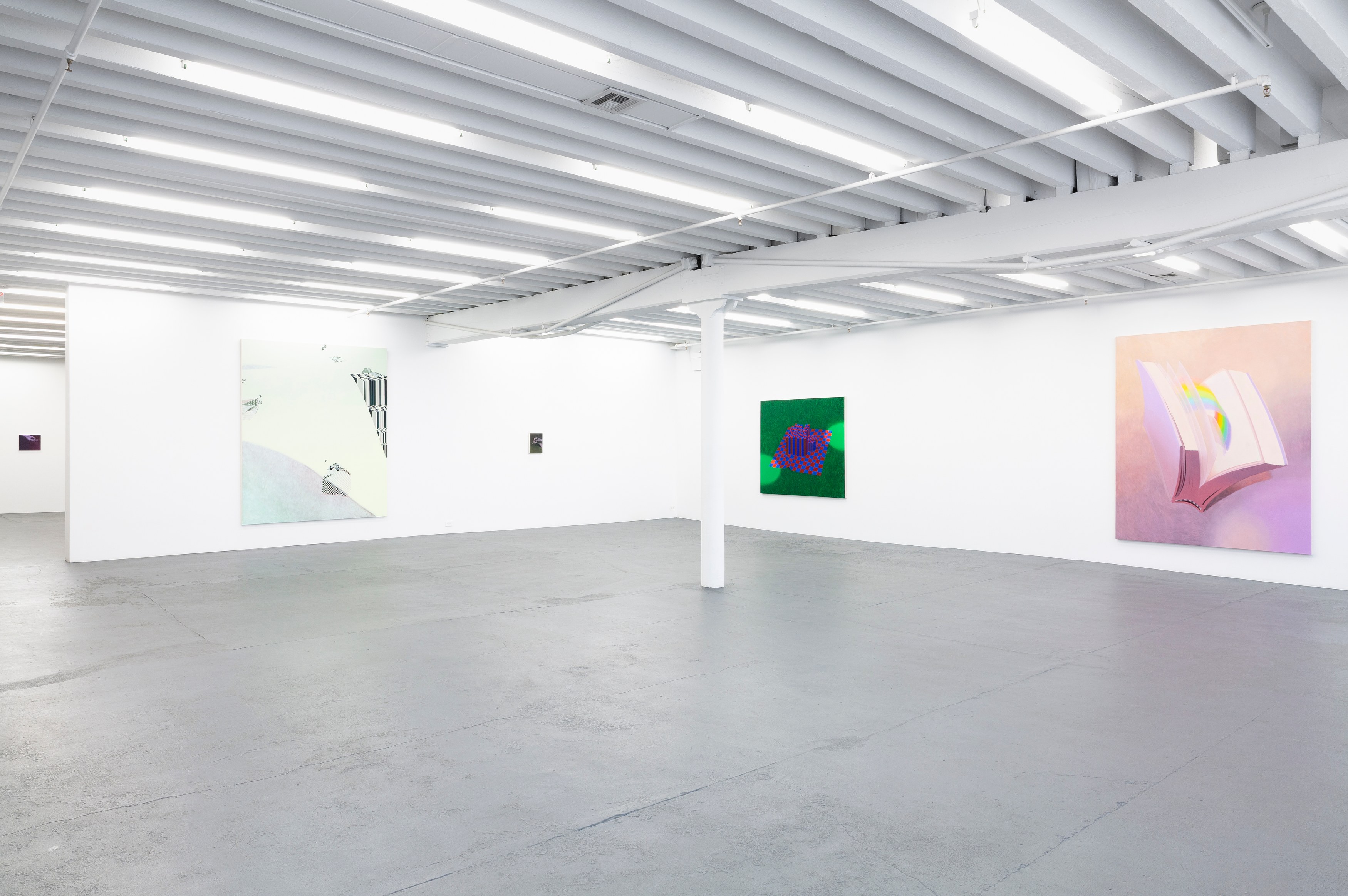 Dana Lok, Part and Parse at Miguel Abreu, New York (88 Eldridge Street, 36 Orchard Street), photo 11