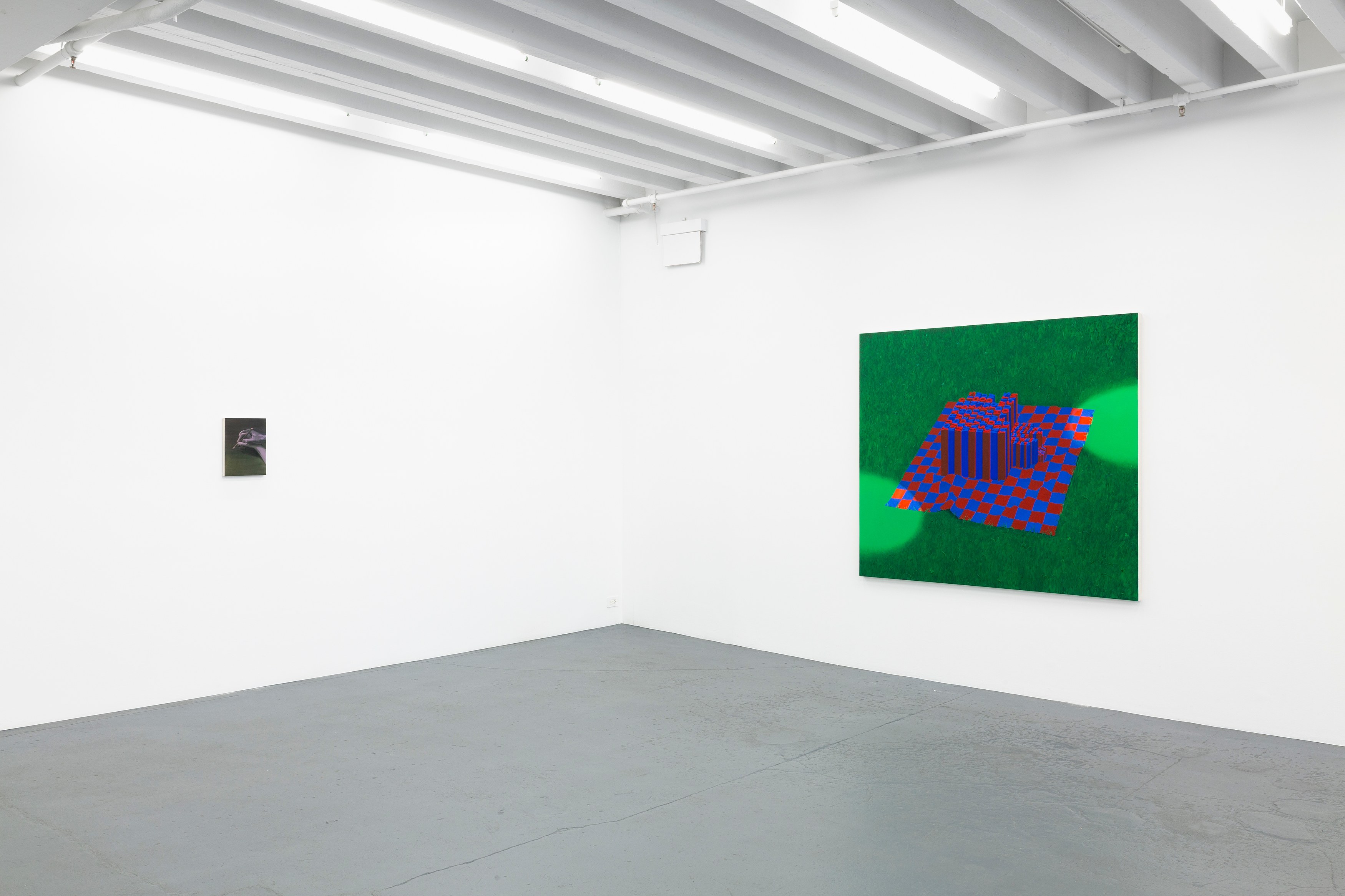 Dana Lok, Part and Parse at Miguel Abreu, New York (88 Eldridge Street, 36 Orchard Street), photo 14