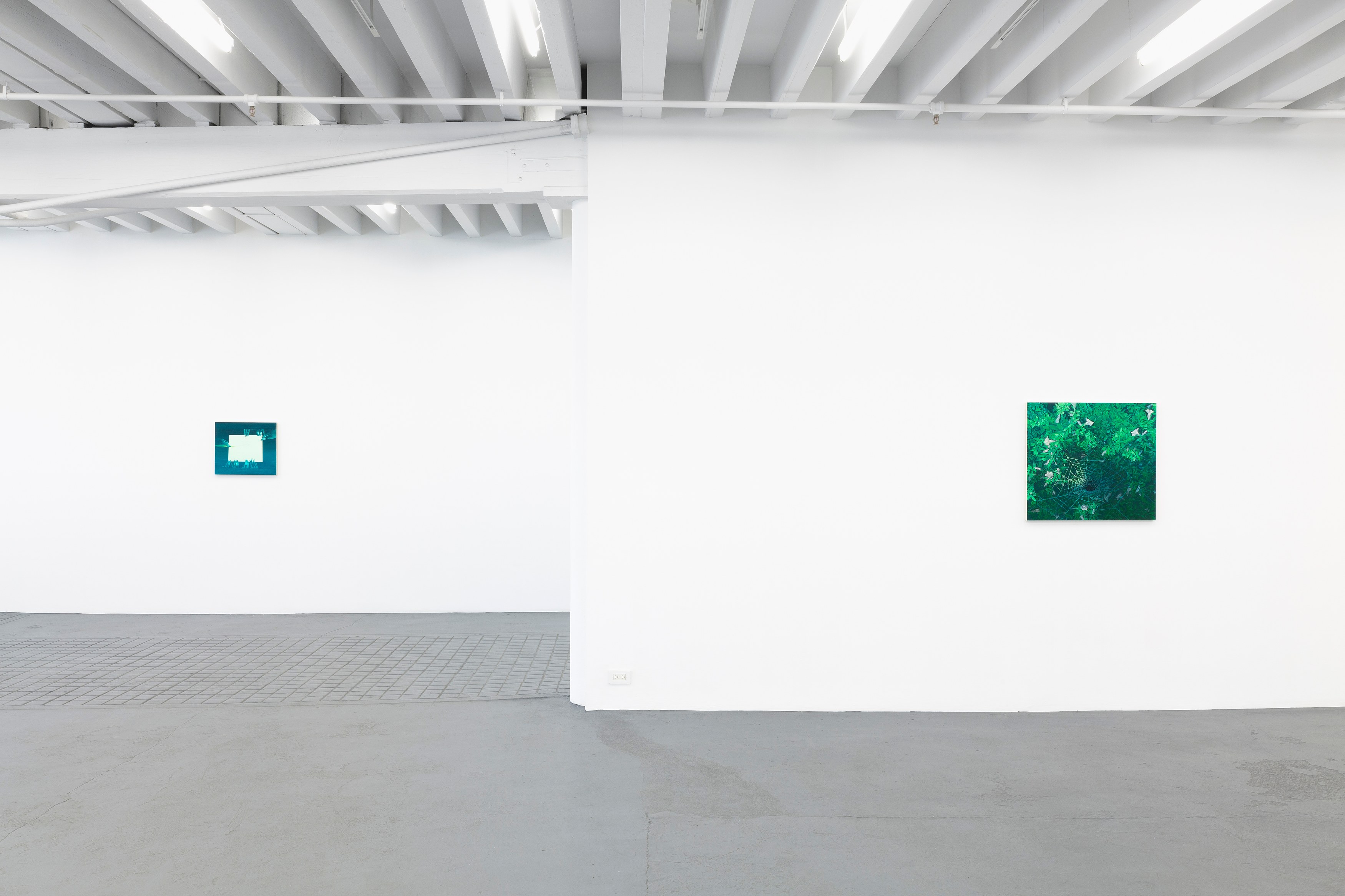 Dana Lok, Part and Parse at Miguel Abreu, New York (88 Eldridge Street, 36 Orchard Street), photo 16