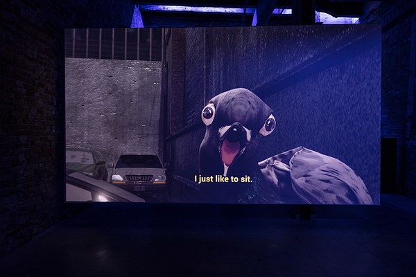 Image 7 of 7