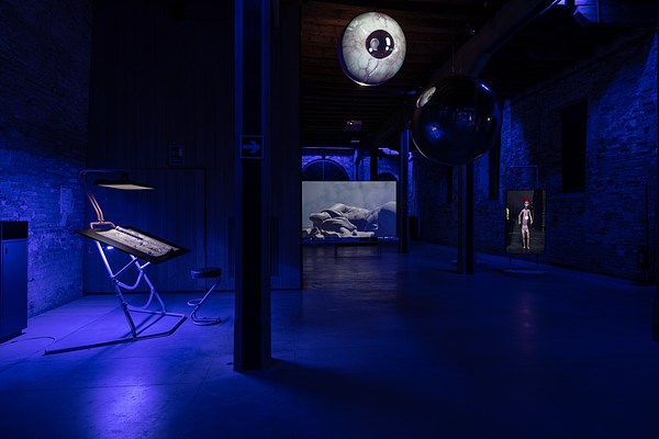 Image 4 of 7