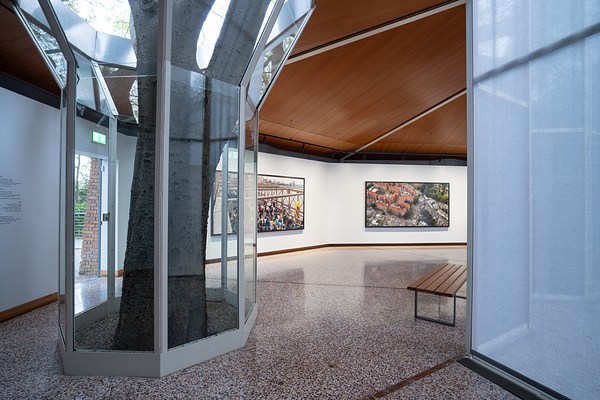 Image 1 of 25