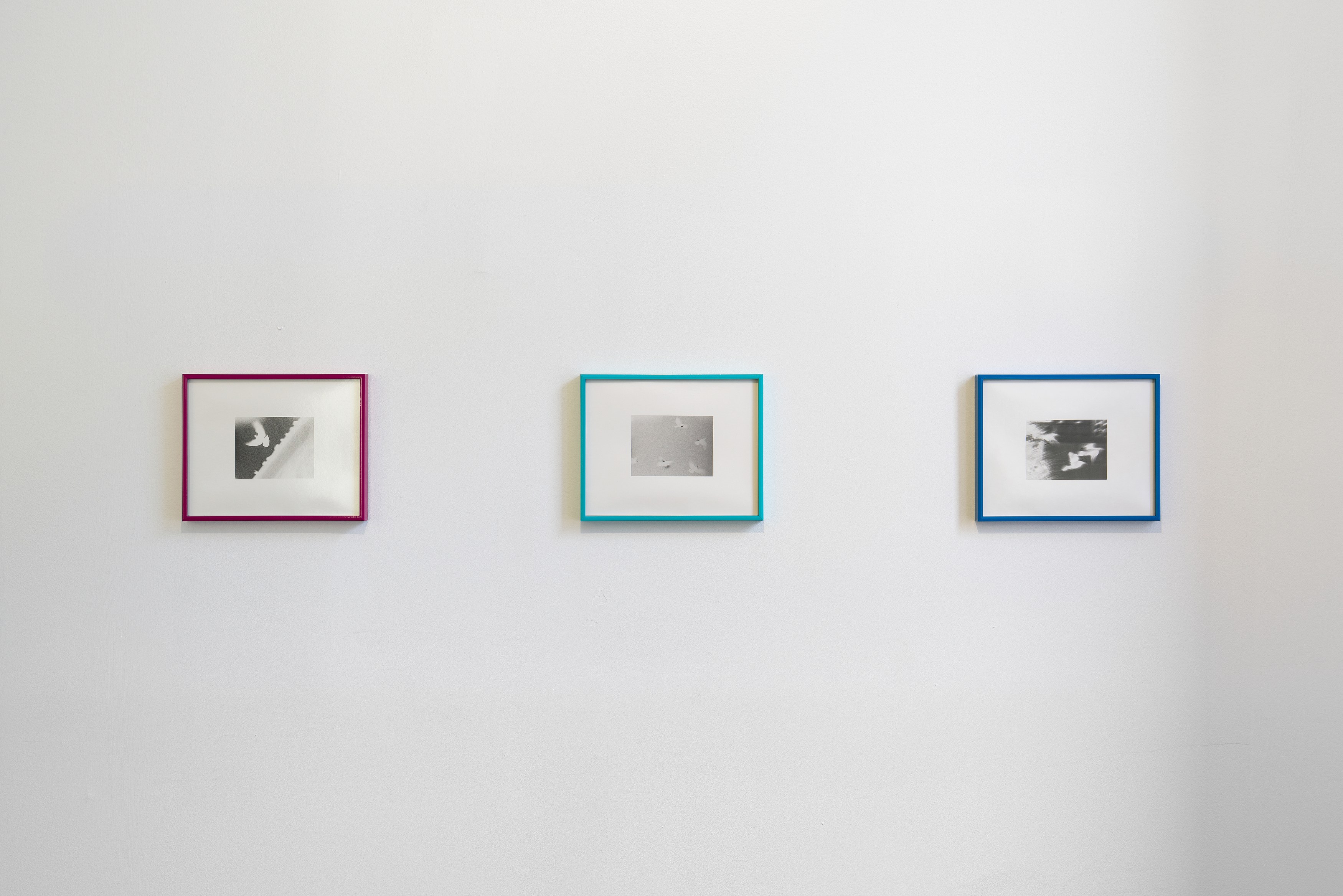 Jenna Bliss, Homing at Ulrik, photo 13