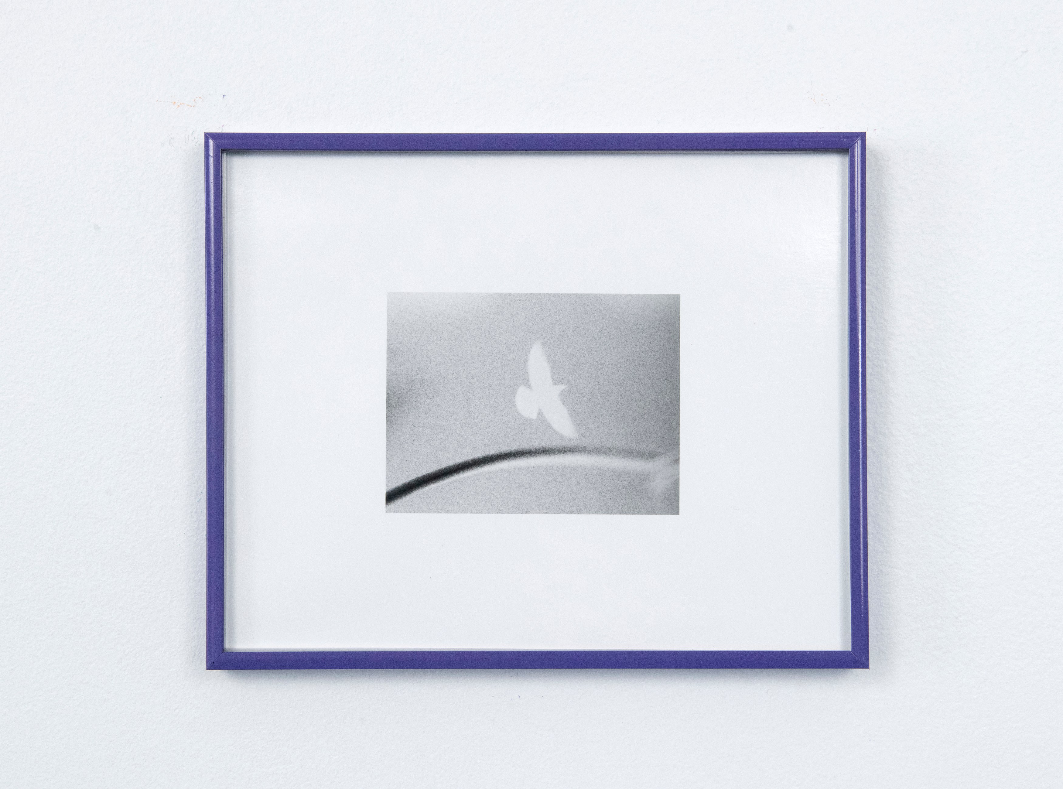 Jenna Bliss, Homing at Ulrik, photo 17