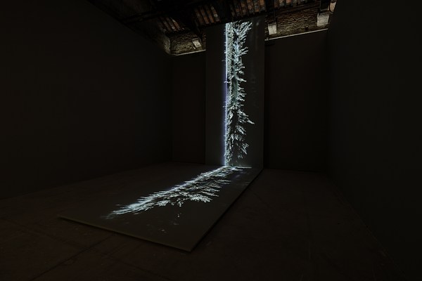 Image 2 of 22