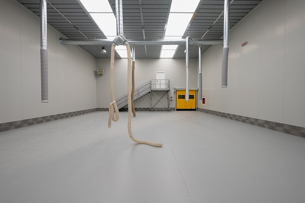 Image 8 of 10