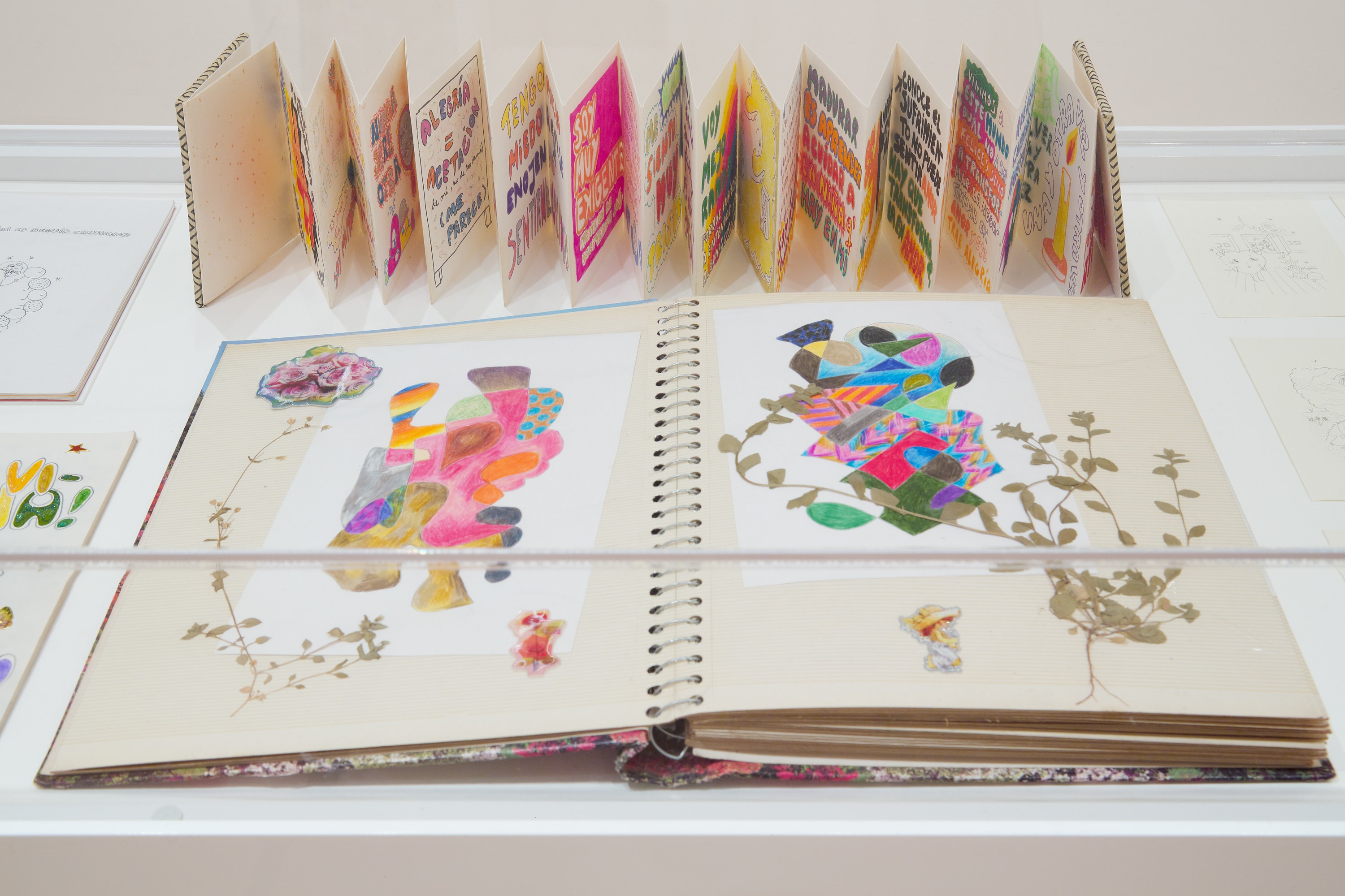 Fernanda Laguna, The Path of the Heart at The Drawing Center, photo 9