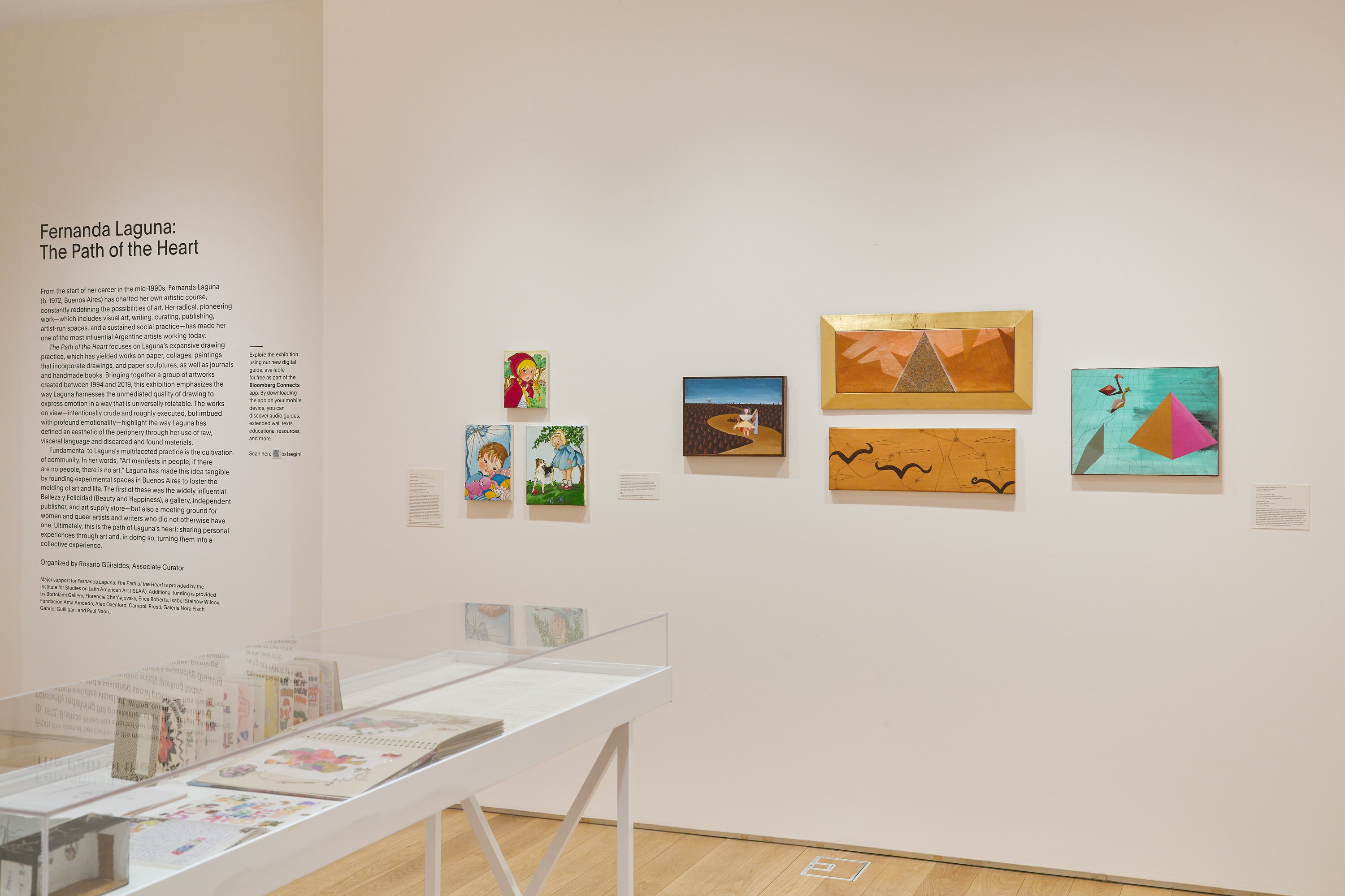 Fernanda Laguna, The Path of the Heart at The Drawing Center, photo 10