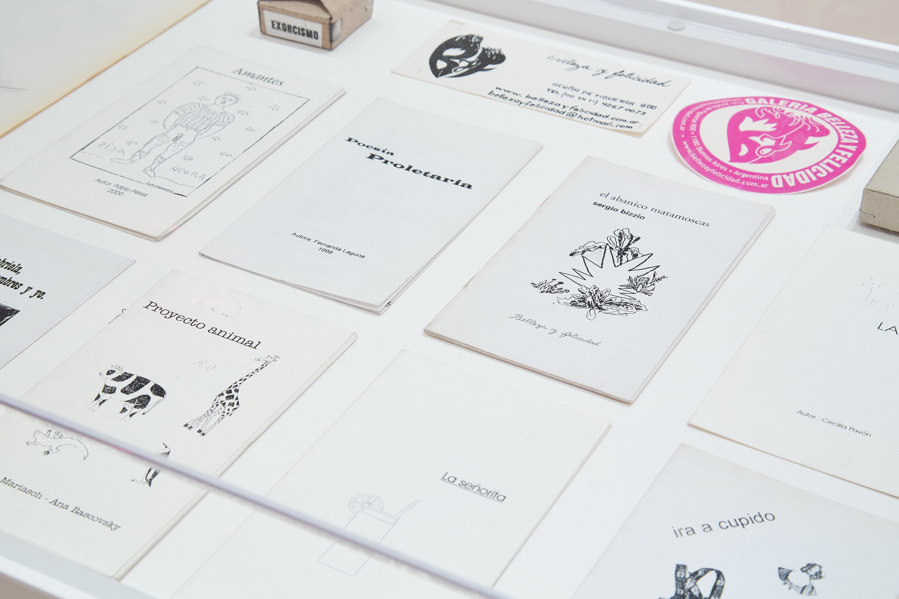 Fernanda Laguna, The Path of the Heart at The Drawing Center, photo 24