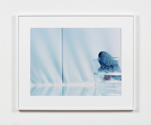 Image 19 of 42