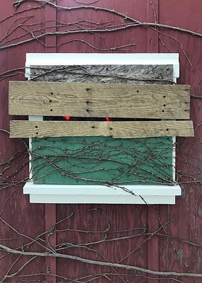 Image 17 of 24